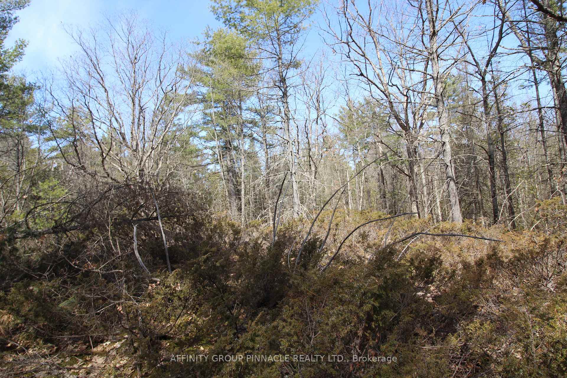 Photo 16 of LOT 15 Concession 9, Trent Lakes — HOMEH