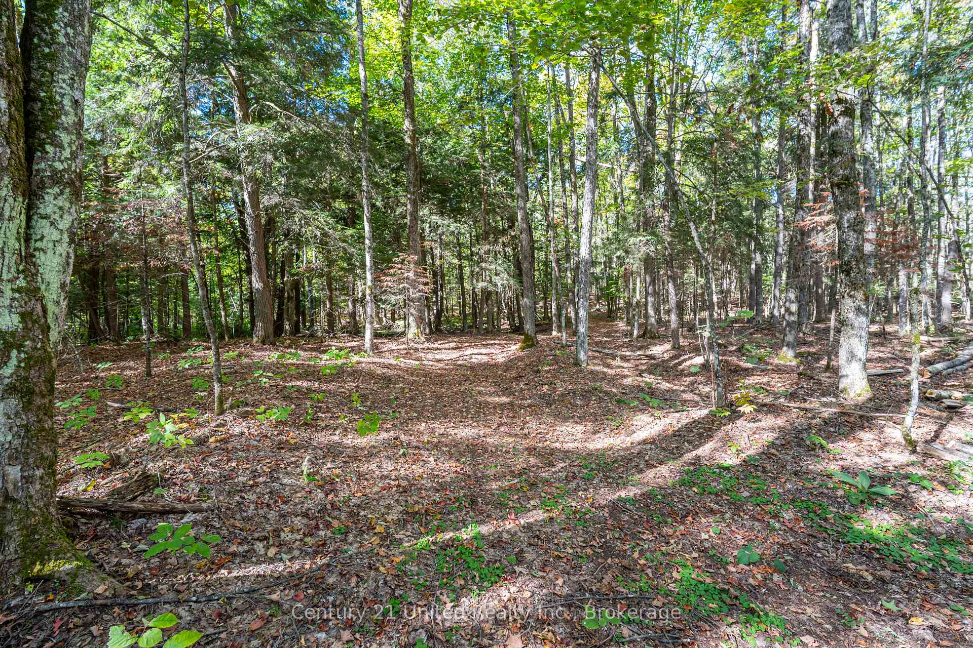 Photo 5 of 5192 Highway 620, Wollaston — HOMEH