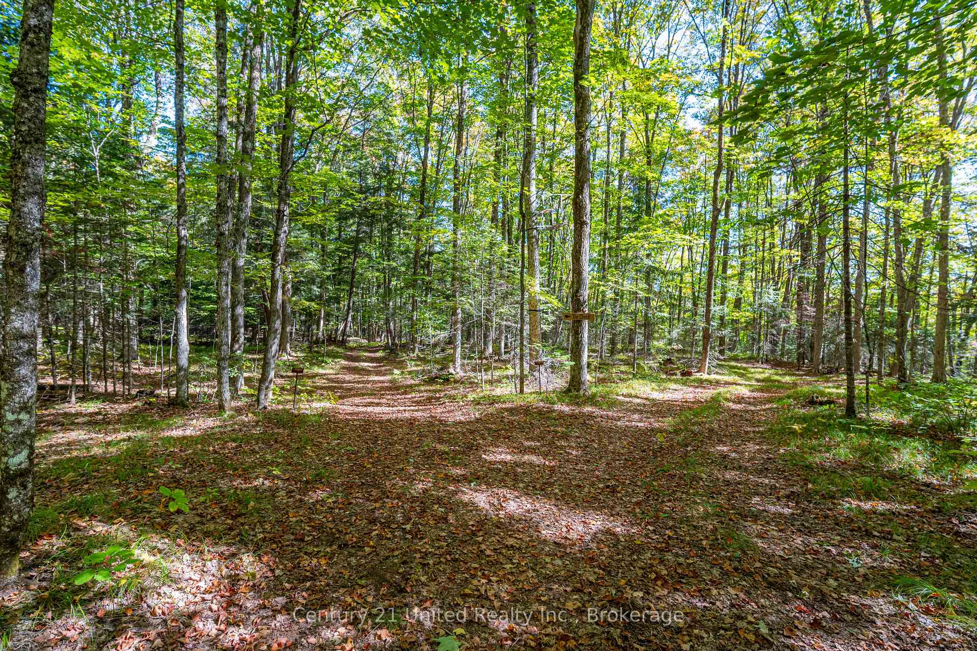 Photo 6 of 5192 Highway 620, Wollaston — HOMEH