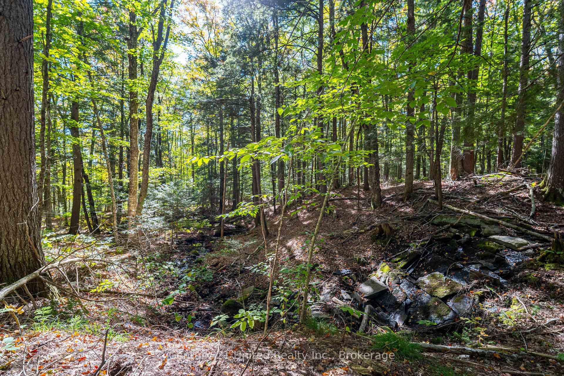 Photo 7 of 5192 Highway 620, Wollaston — HOMEH