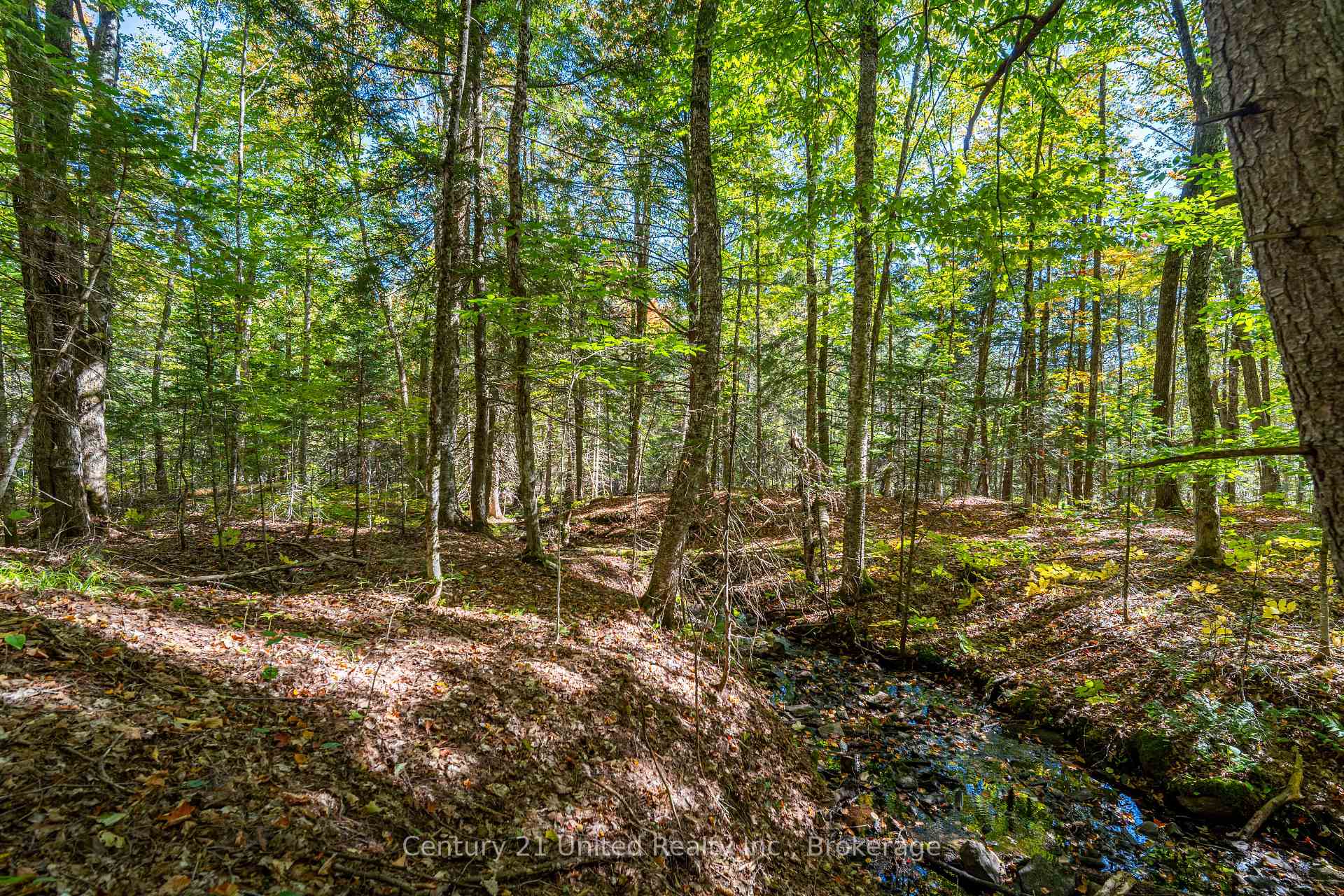 Photo 9 of 5192 Highway 620, Wollaston — HOMEH
