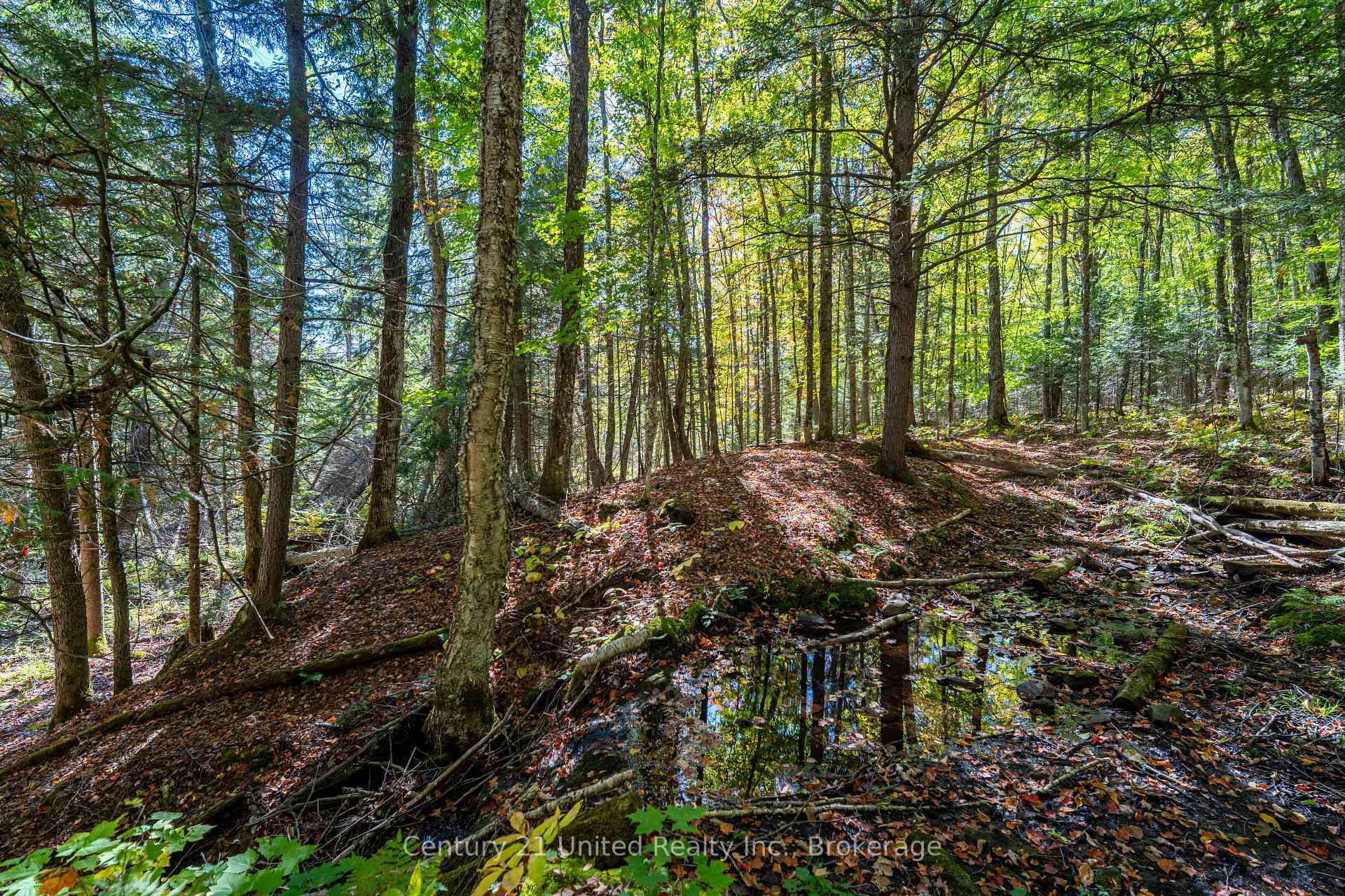 Photo 10 of 5192 Highway 620, Wollaston — HOMEH