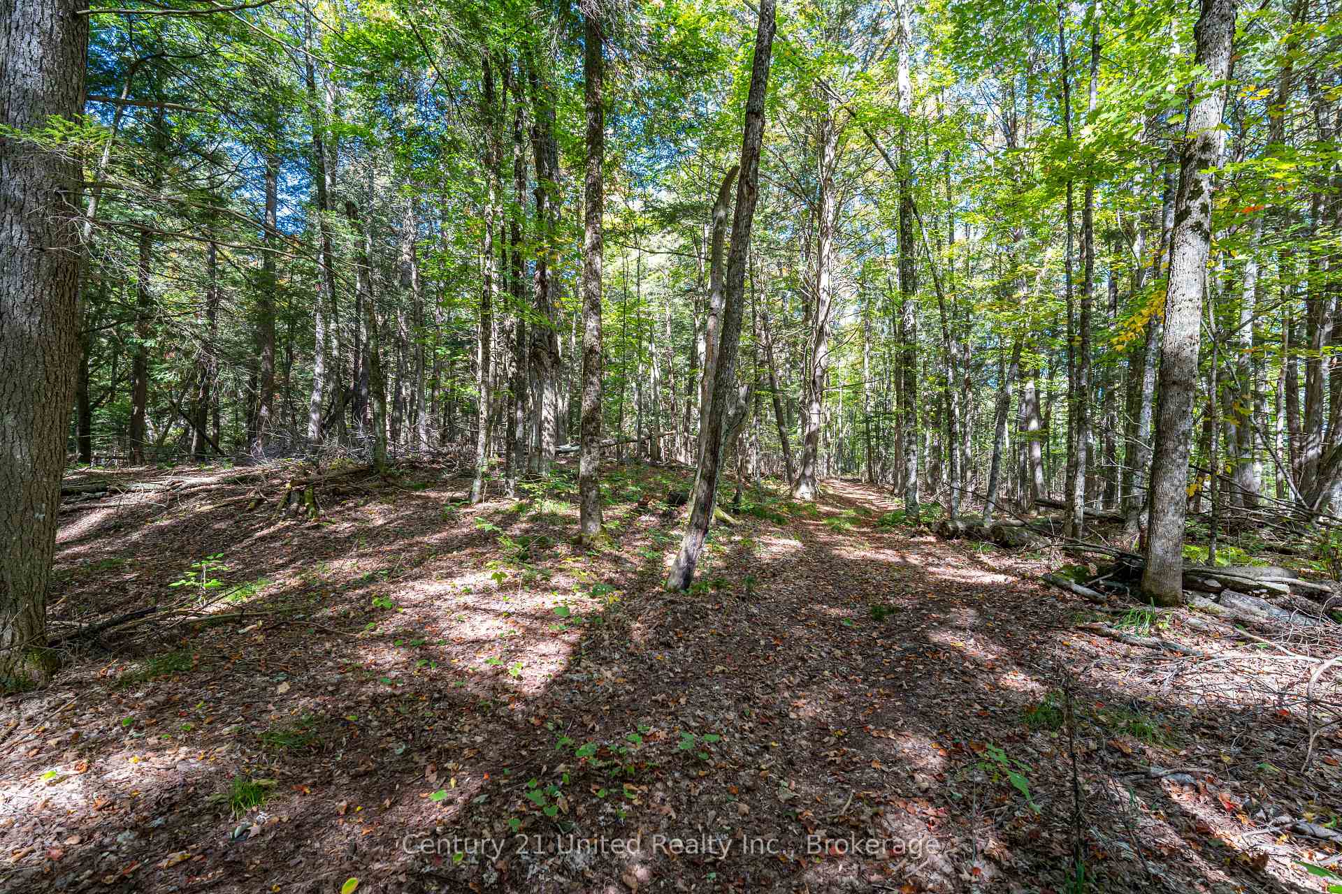 Photo 11 of 5192 Highway 620, Wollaston — HOMEH