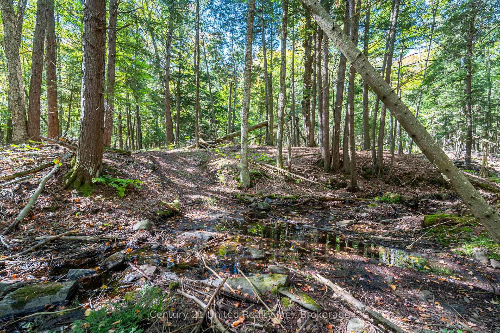 Photo 12 of 5192 Highway 620, Wollaston — HOMEH