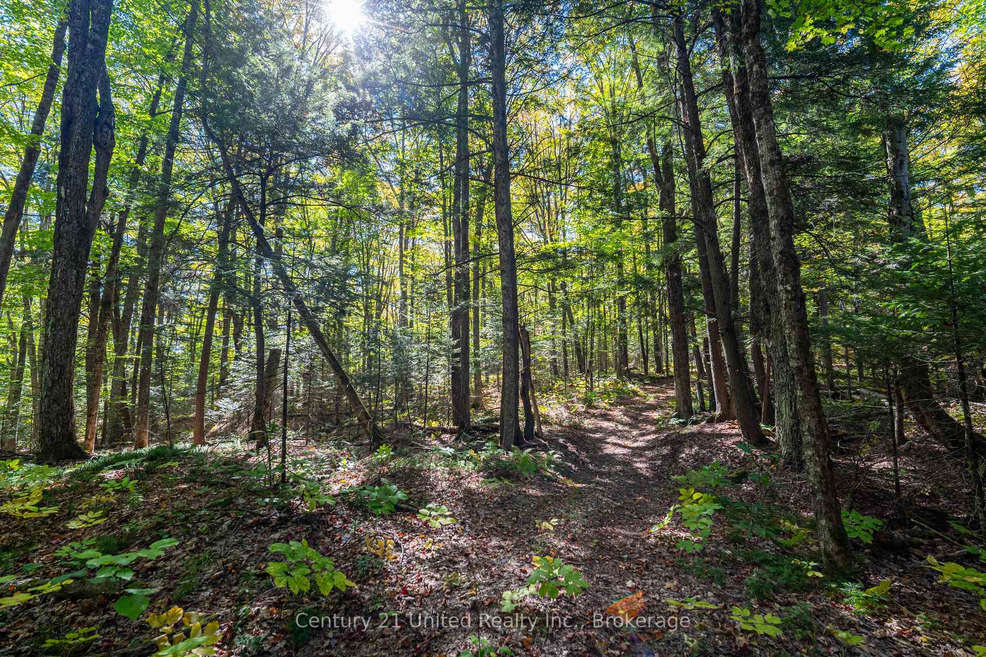 Photo 13 of 5192 Highway 620, Wollaston — HOMEH