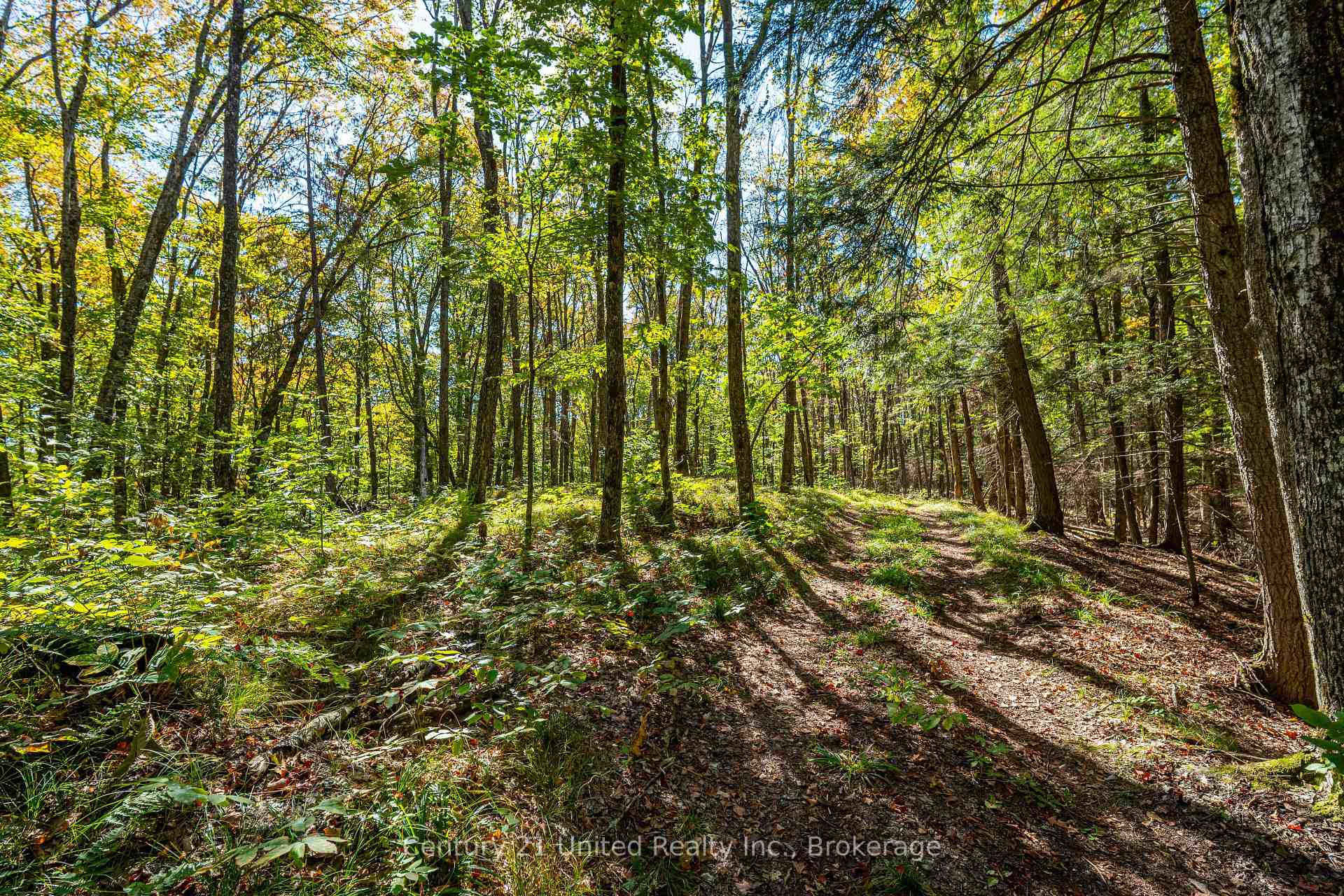 Photo 14 of 5192 Highway 620, Wollaston — HOMEH
