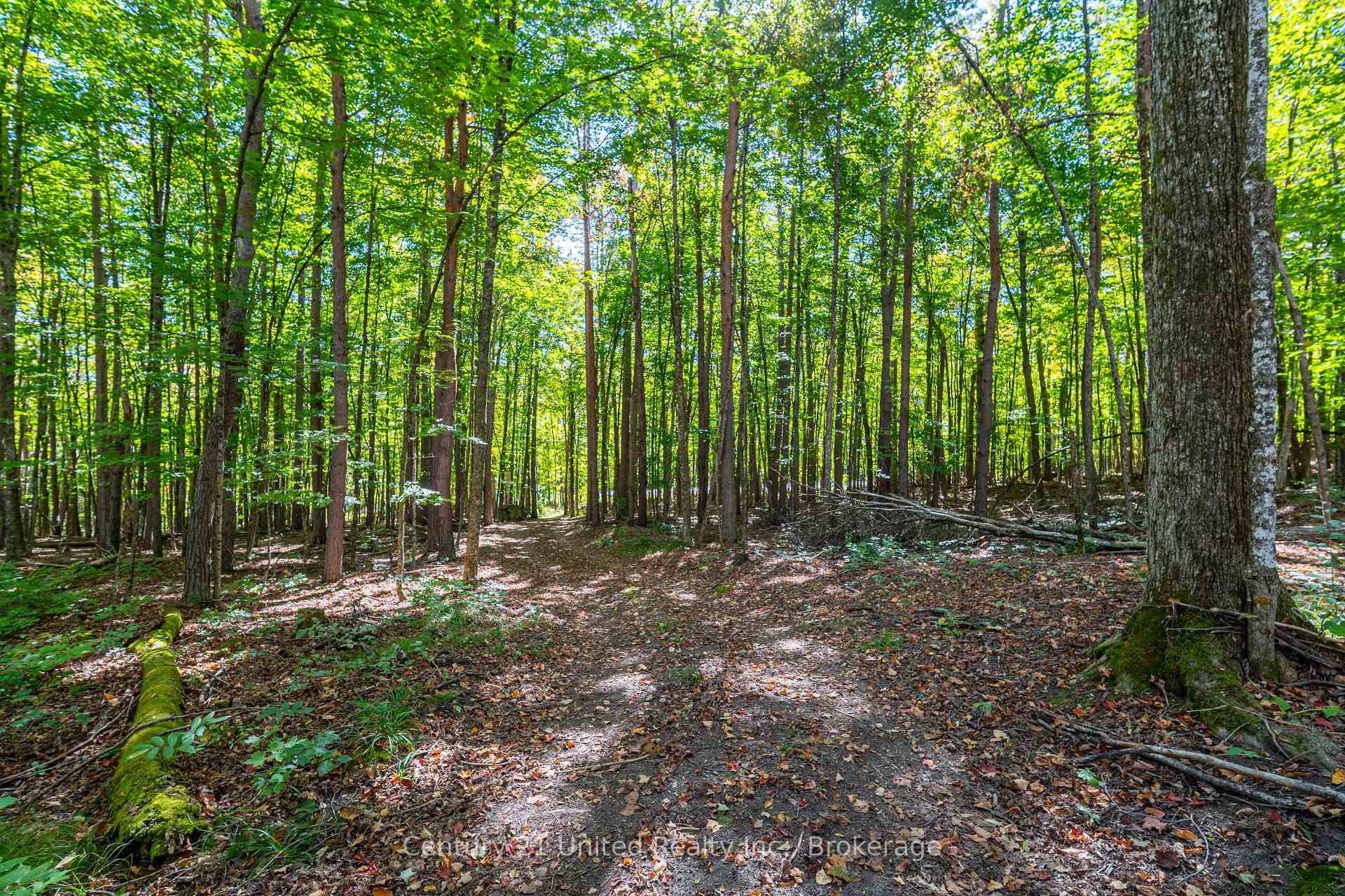 Photo 15 of 5192 Highway 620, Wollaston — HOMEH