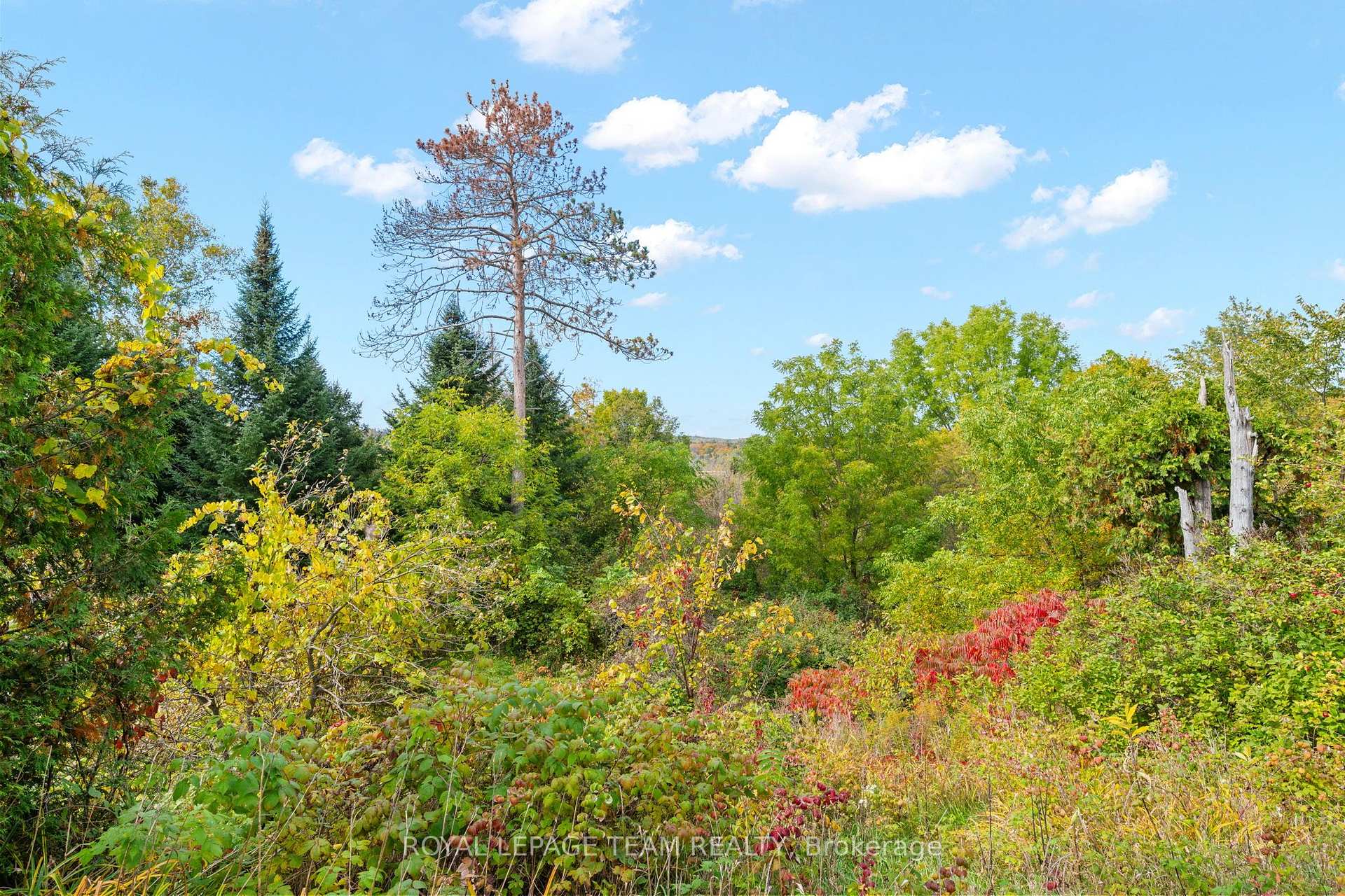Photo 35 of 328 Clyde Forks Road, Lanark Highlands, Lanark Highlands (Lavant) Twp — HOMEH