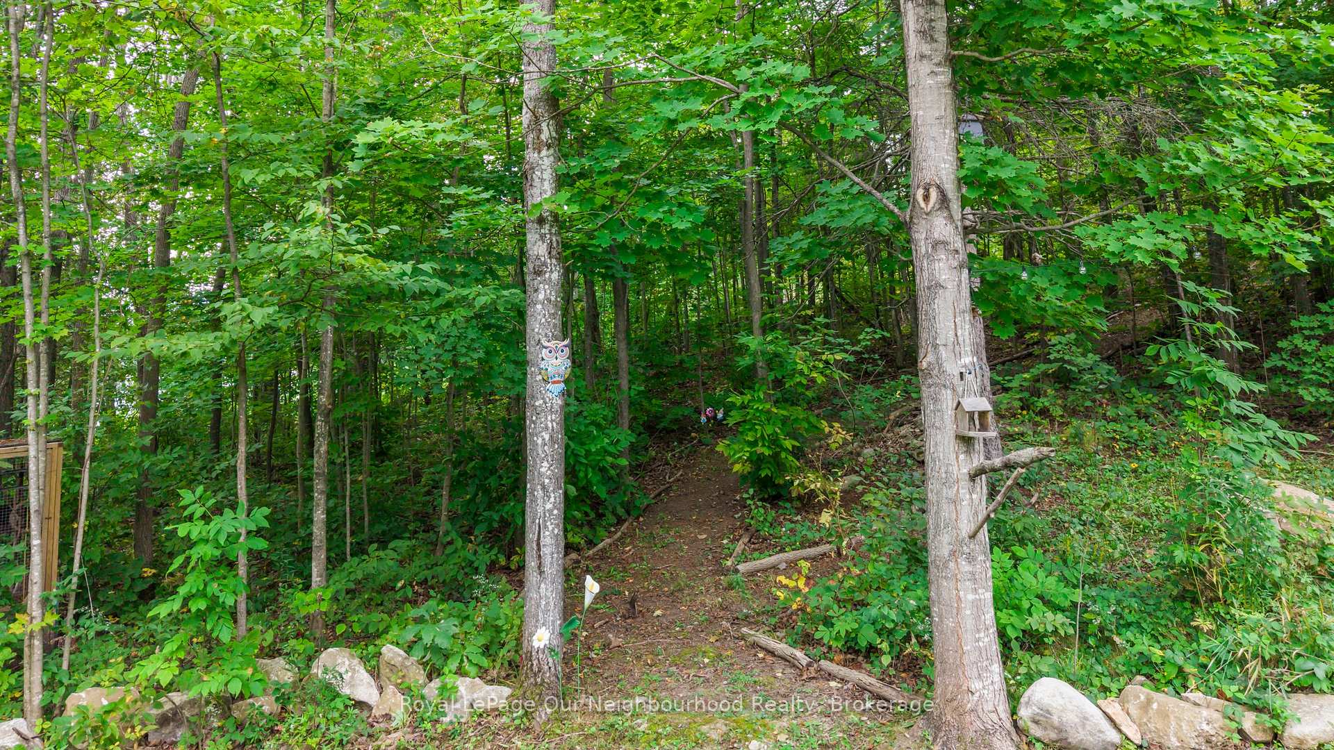 Photo 40 of 9 Cedar Hill Road, Trent Hills, Rural Trent Hills — HOMEH