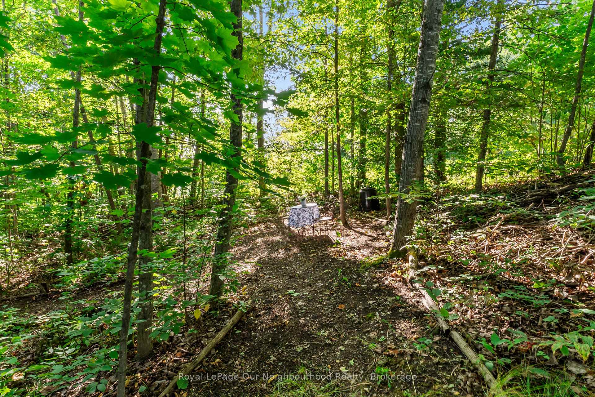 Photo 41 of 9 Cedar Hill Road, Trent Hills, Rural Trent Hills — HOMEH