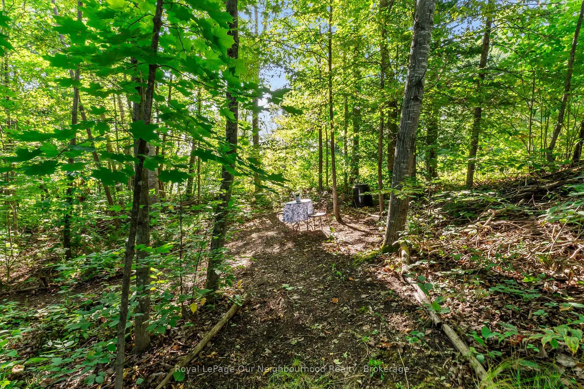 Photo 5 of 9 Cedar Hill Road, Trent Hills, Rural Trent Hills — HOMEH
