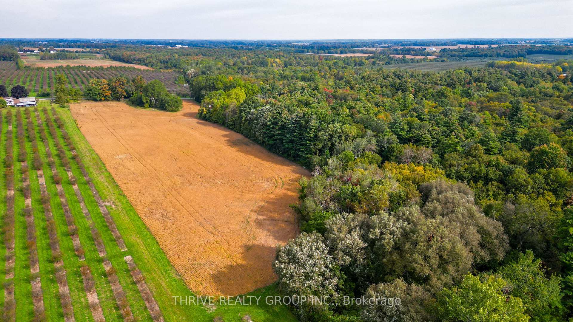 Photo 22 of 648 Concession 13, Norfolk, Townsend — HOMEH