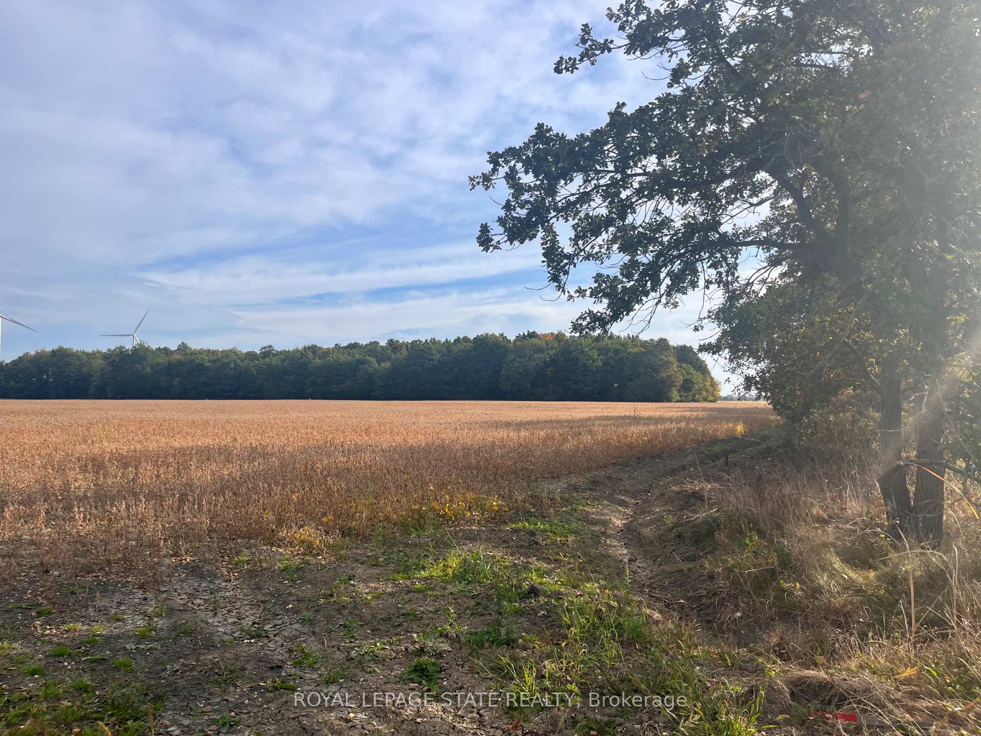 Photo 4 of VL Kings Row, Haldimand, Dunnville — HOMEH