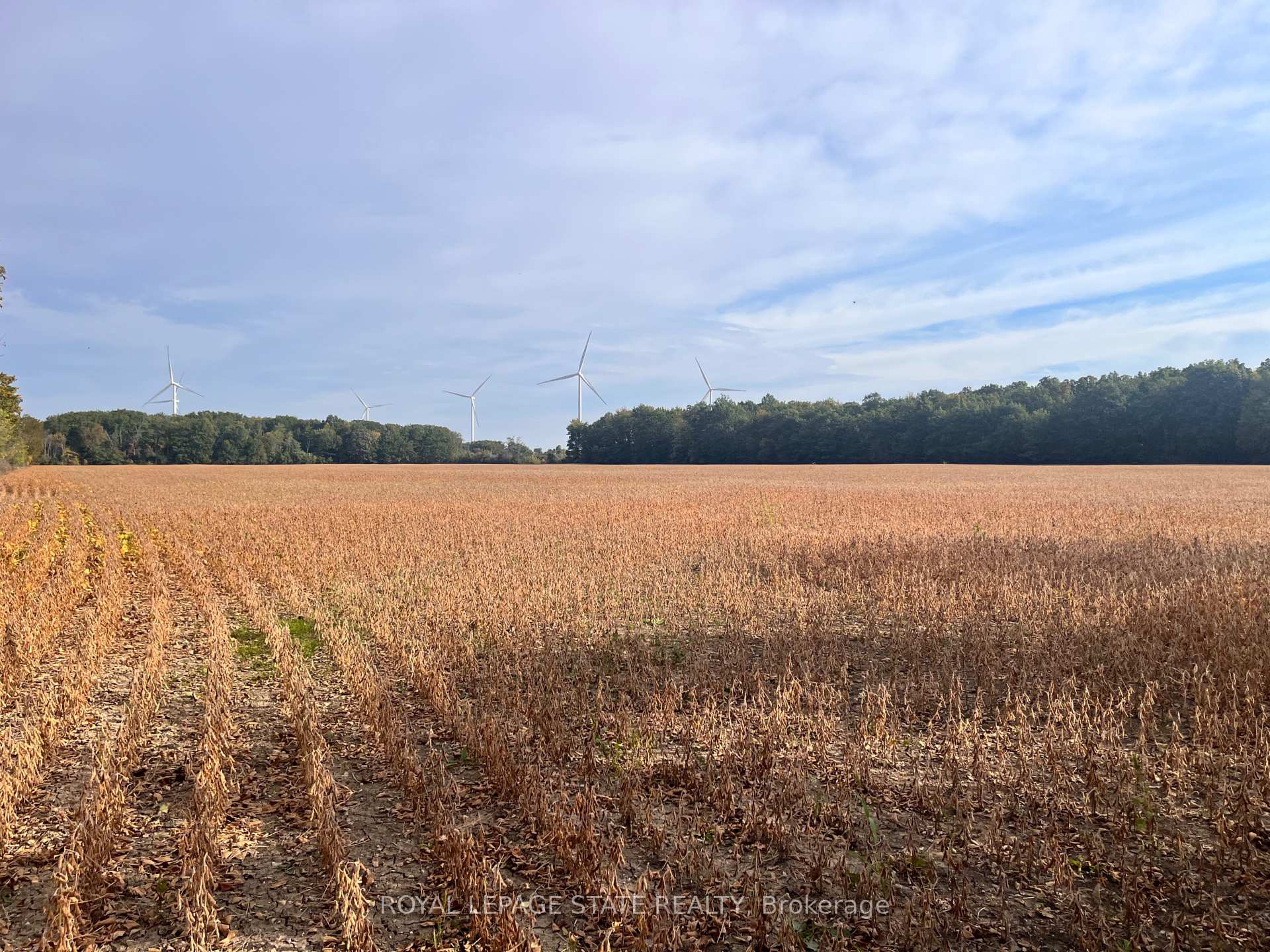 Photo 5 of VL Kings Row, Haldimand, Dunnville — HOMEH
