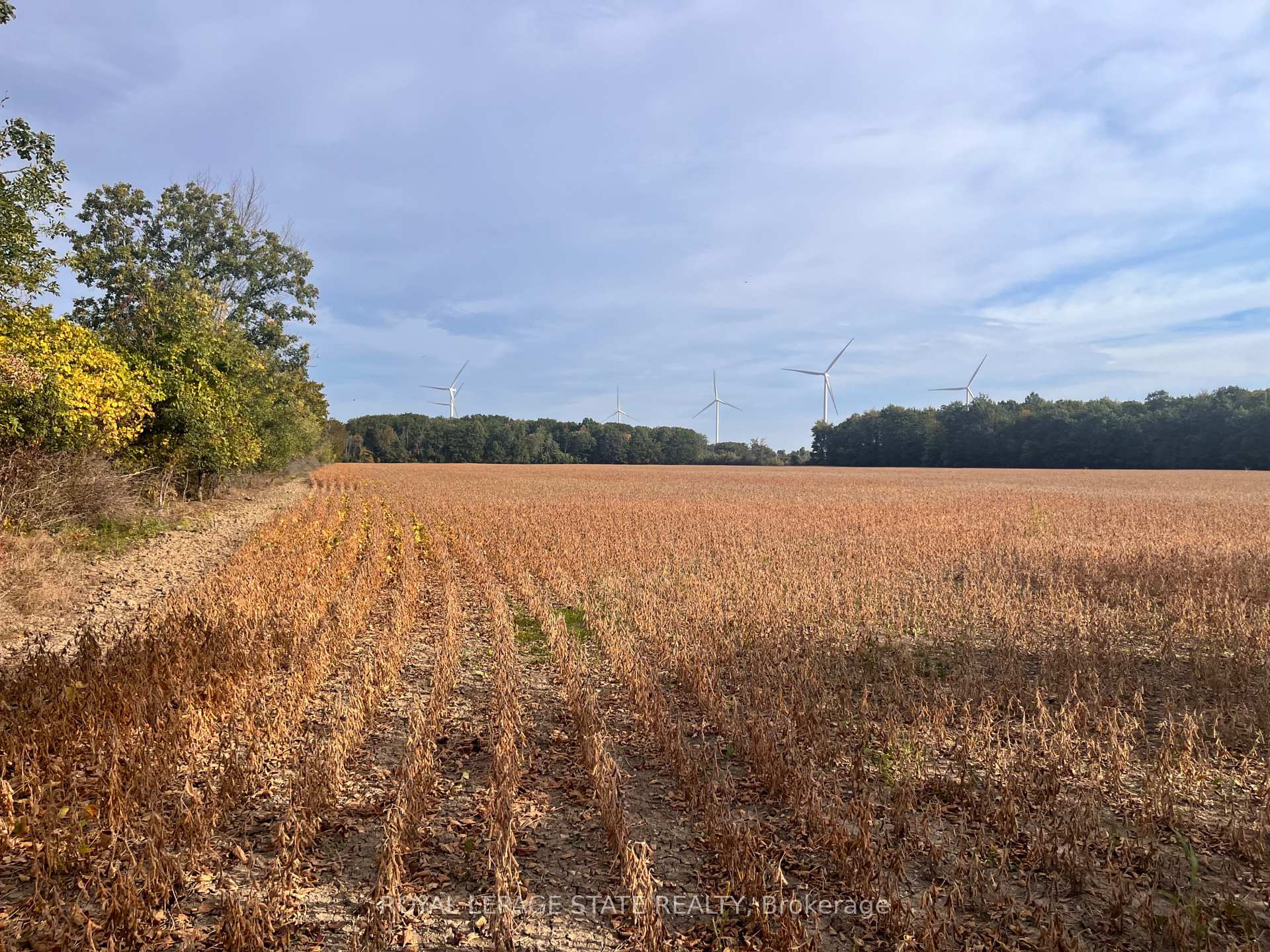 Photo 6 of VL Kings Row, Haldimand, Dunnville — HOMEH