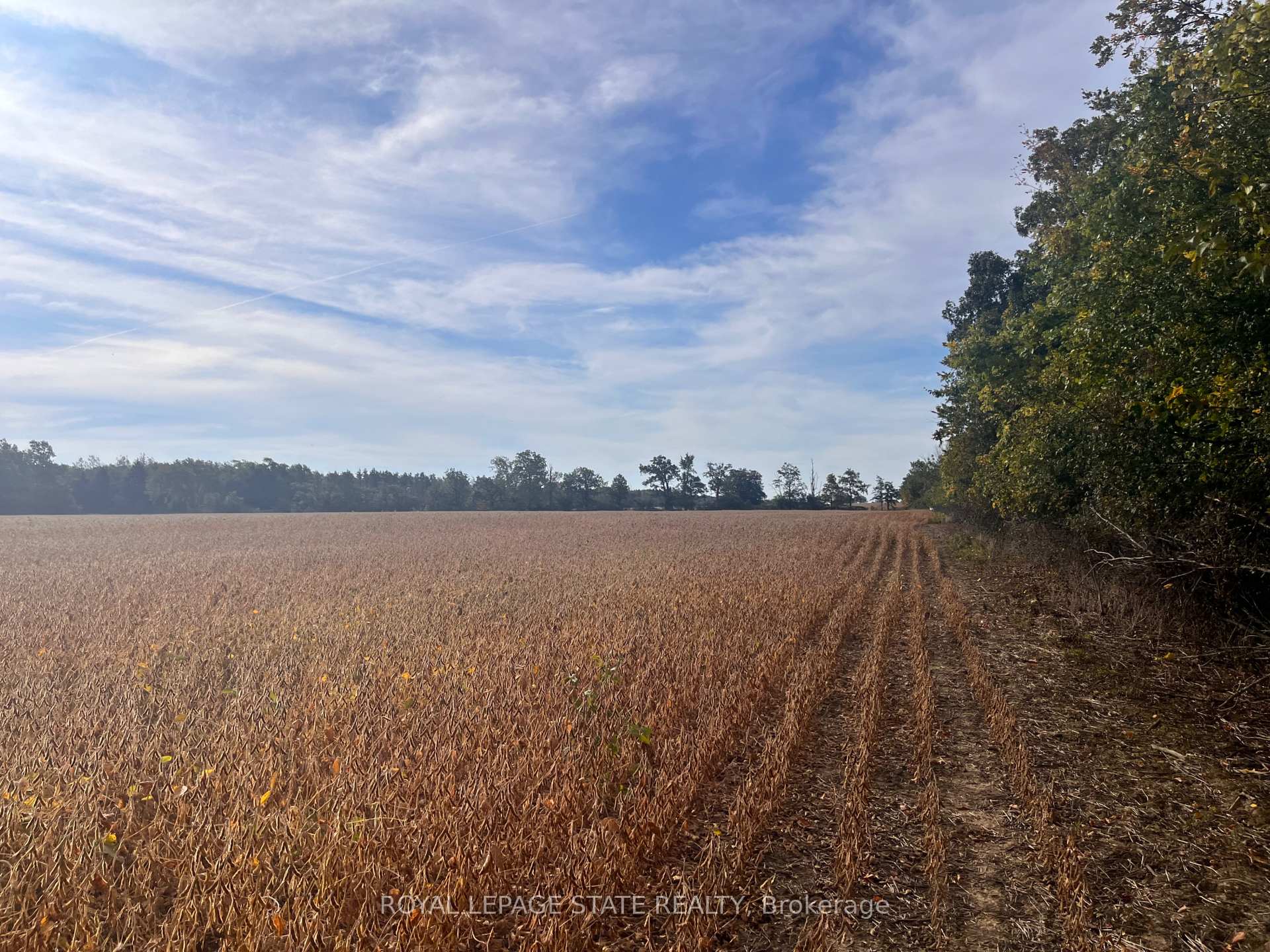 Photo 8 of VL Kings Row, Haldimand, Dunnville — HOMEH