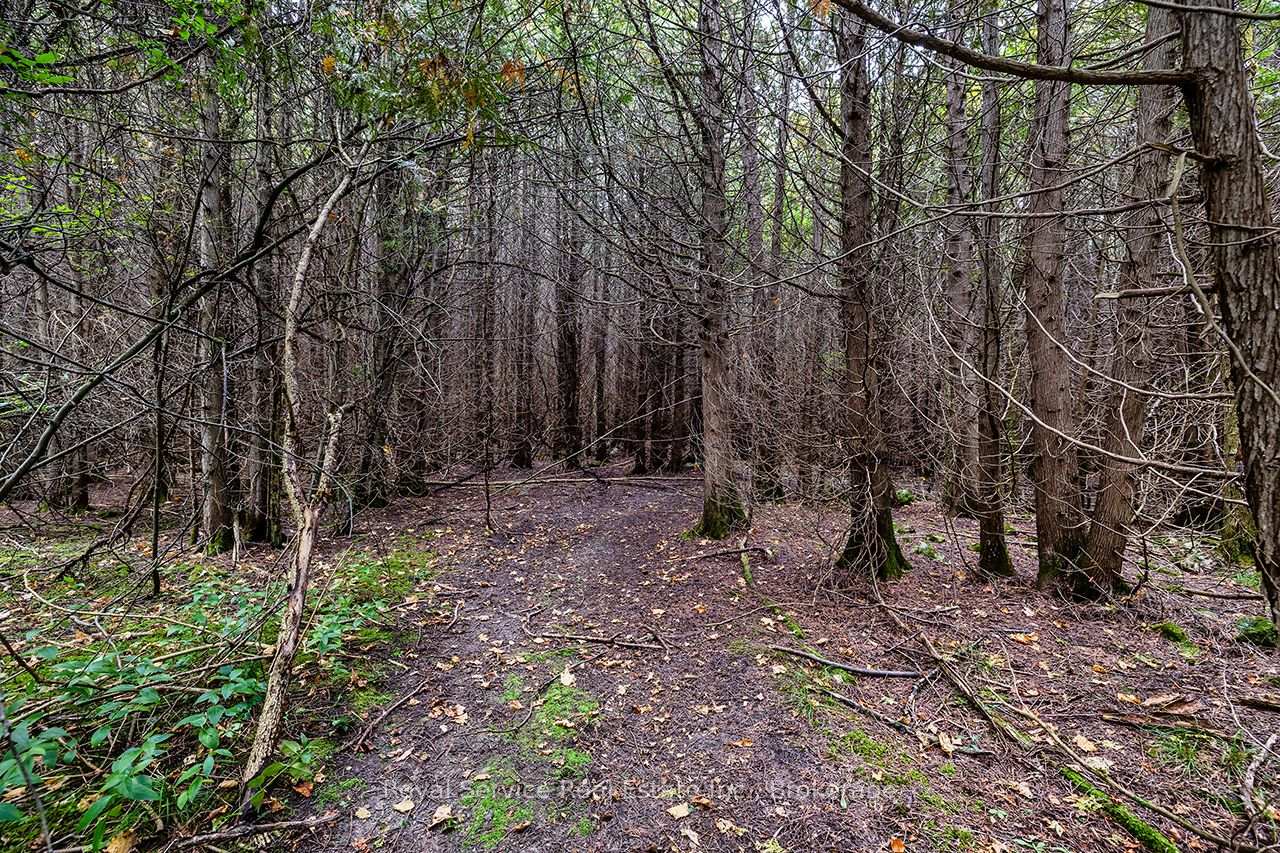 Photo 34 of 4045 Highway 2, Clarington, Rural Clarington — HOMEH