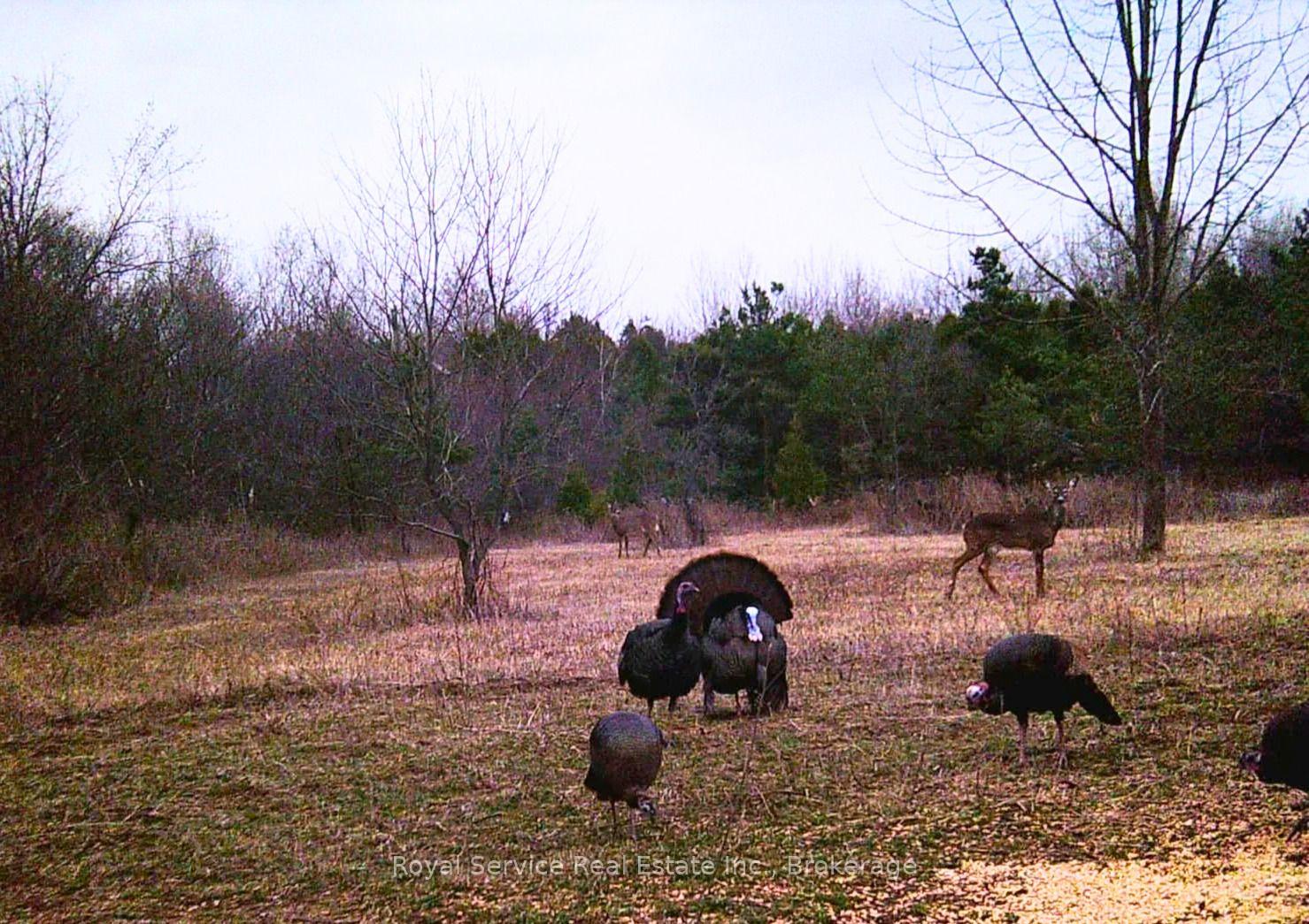Photo 38 of 4045 Highway 2, Clarington, Rural Clarington — HOMEH