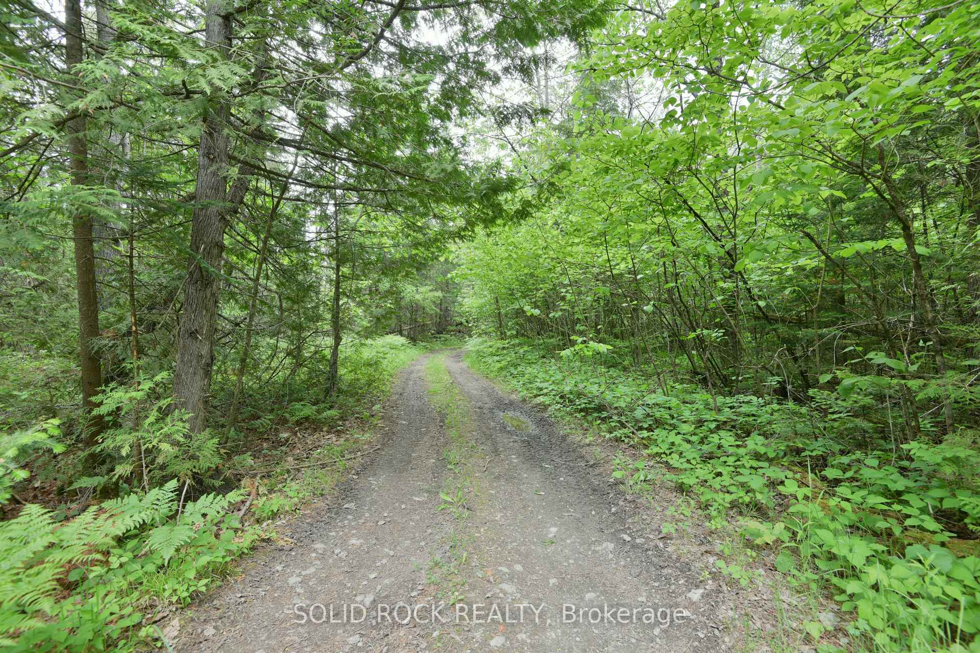 Photo 2 of Mast Road, McNab/Braeside, Mcnab/Braeside Twps — HOMEH