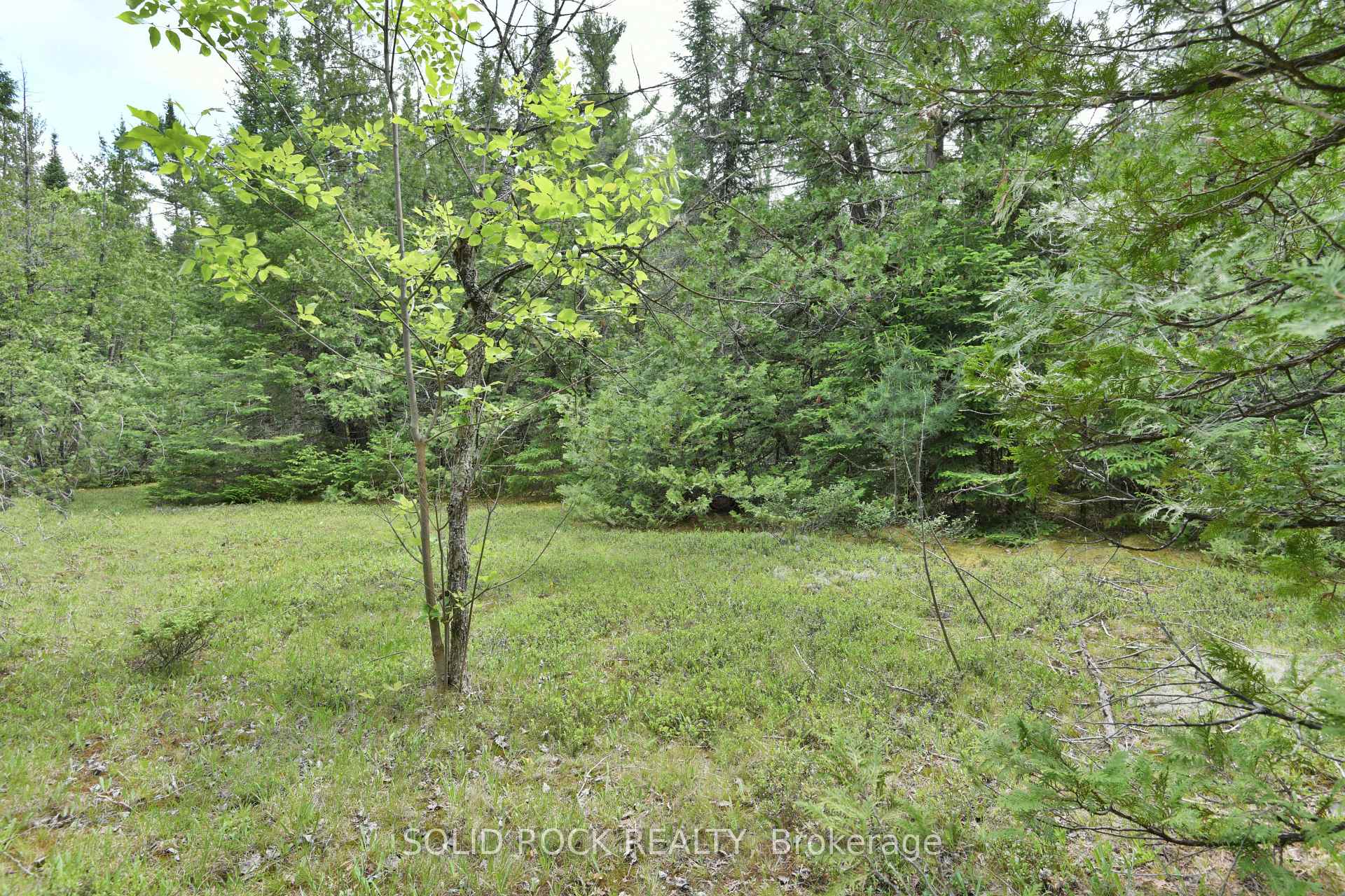 Photo 11 of Mast Road, McNab/Braeside, Mcnab/Braeside Twps — HOMEH