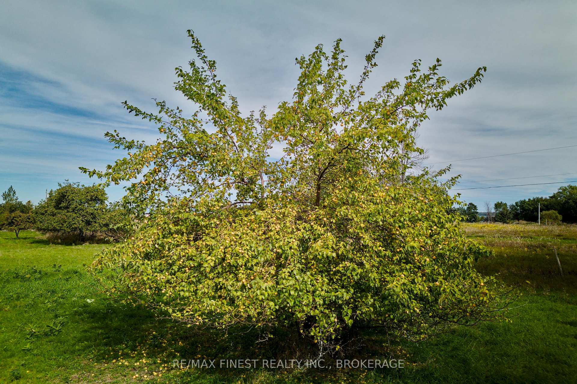 Photo 22 of 1600 Front Road, Loyalist, Amherst Island — HOMEH