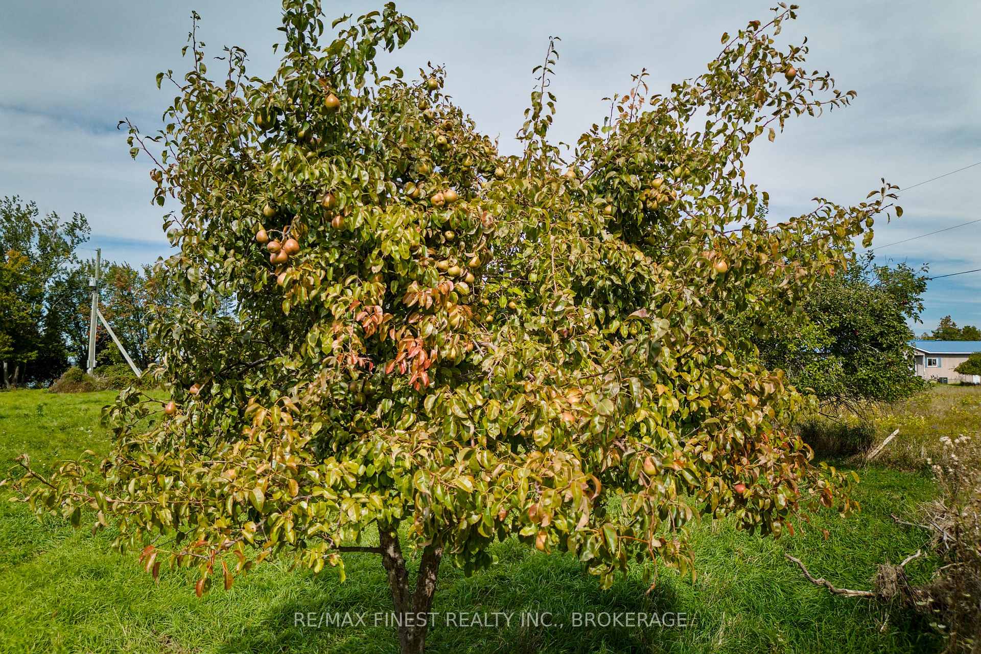Photo 23 of 1600 Front Road, Loyalist, Amherst Island — HOMEH