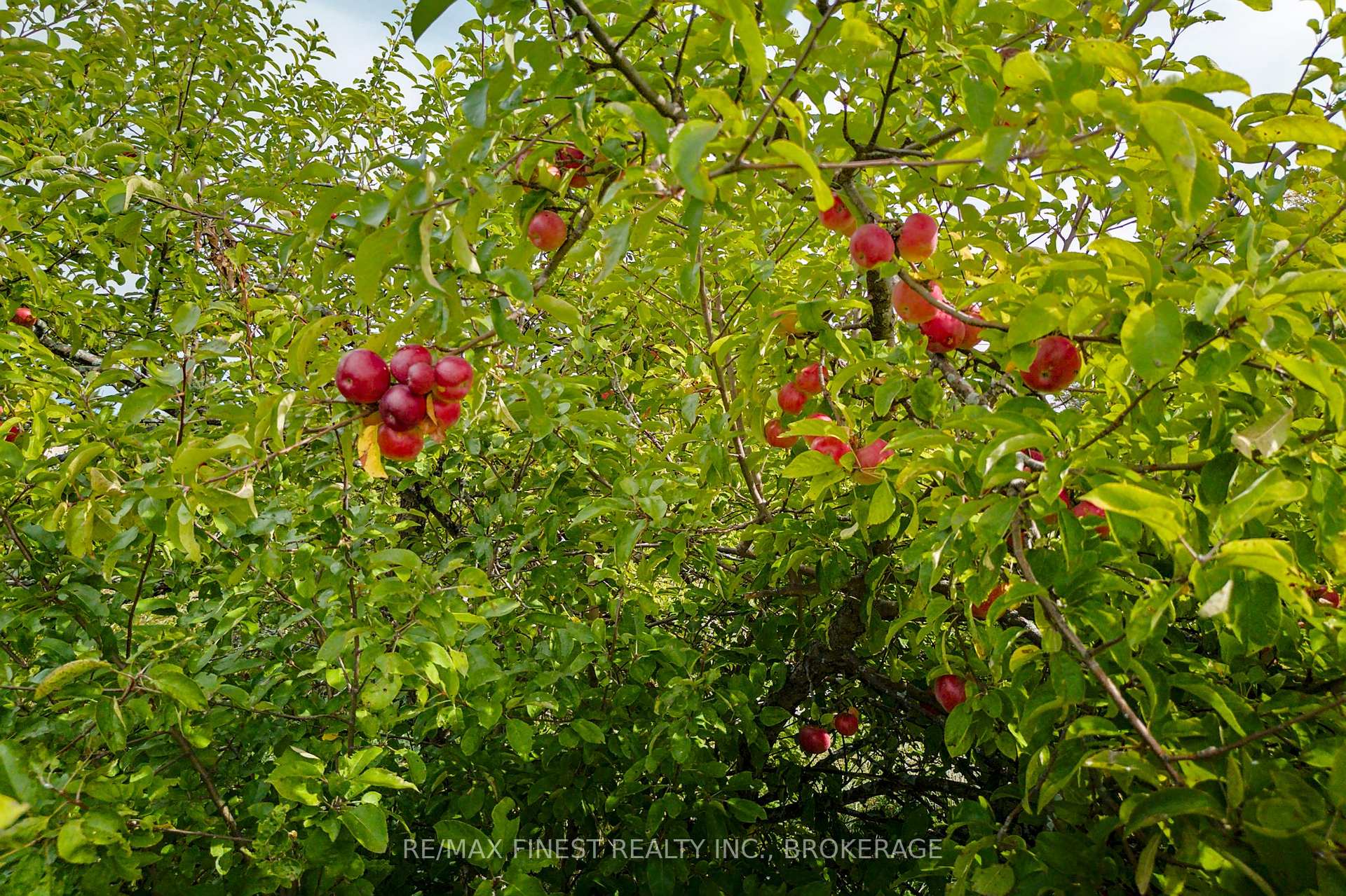 Photo 24 of 1600 Front Road, Loyalist, Amherst Island — HOMEH