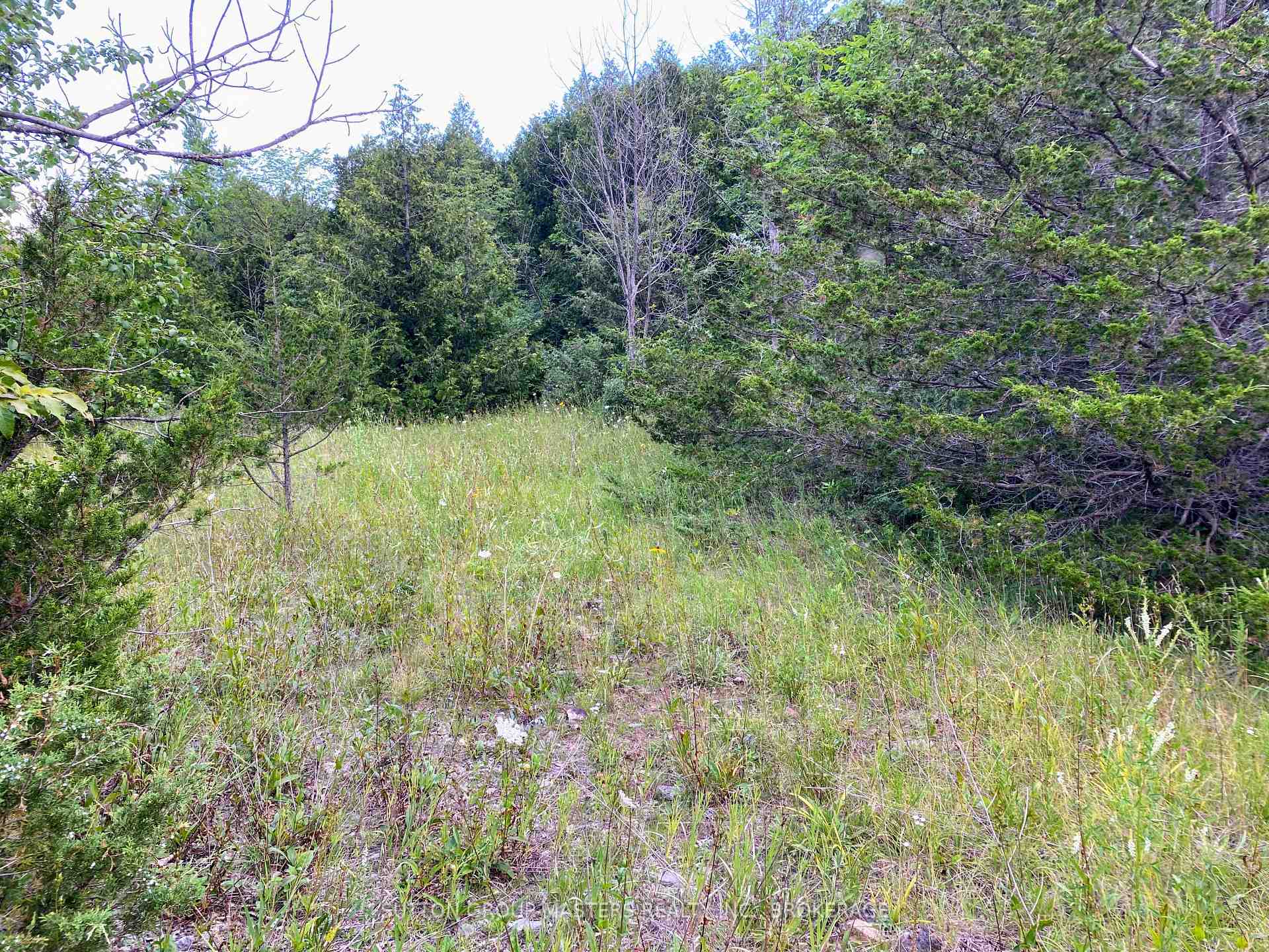 Photo 2 of Colebrook Road, Stone Mills, Stone Mills — HOMEH