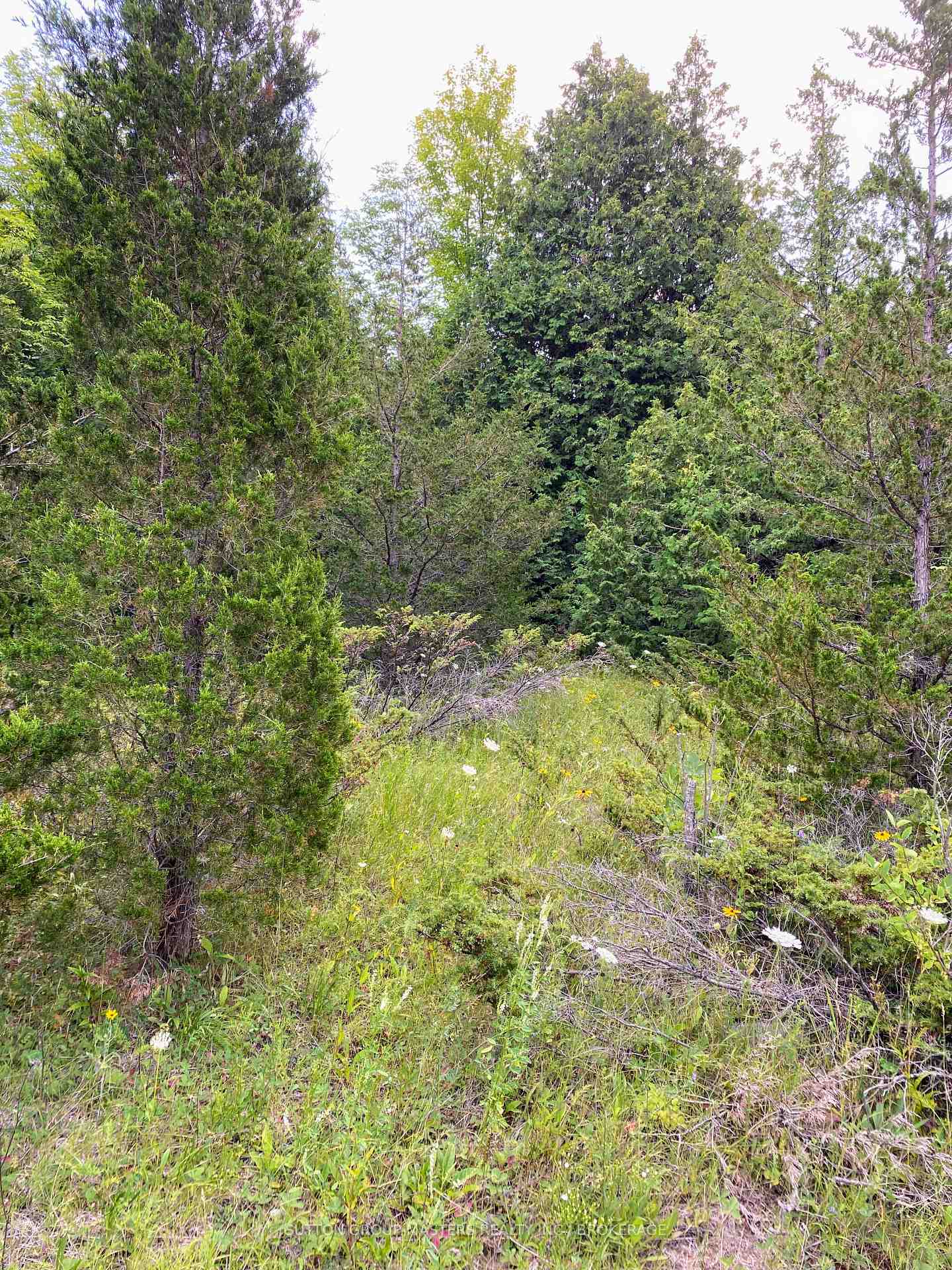 Photo 5 of Colebrook Road, Stone Mills, Stone Mills — HOMEH