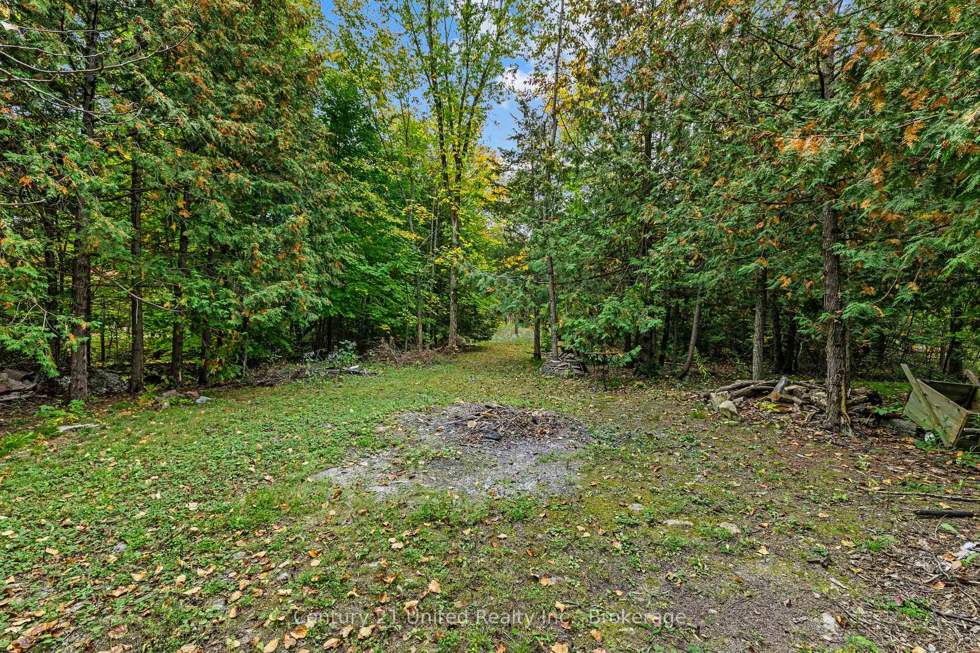 Photo 43 of 1249 Birchview Road, Douro-Dummer — HOMEH