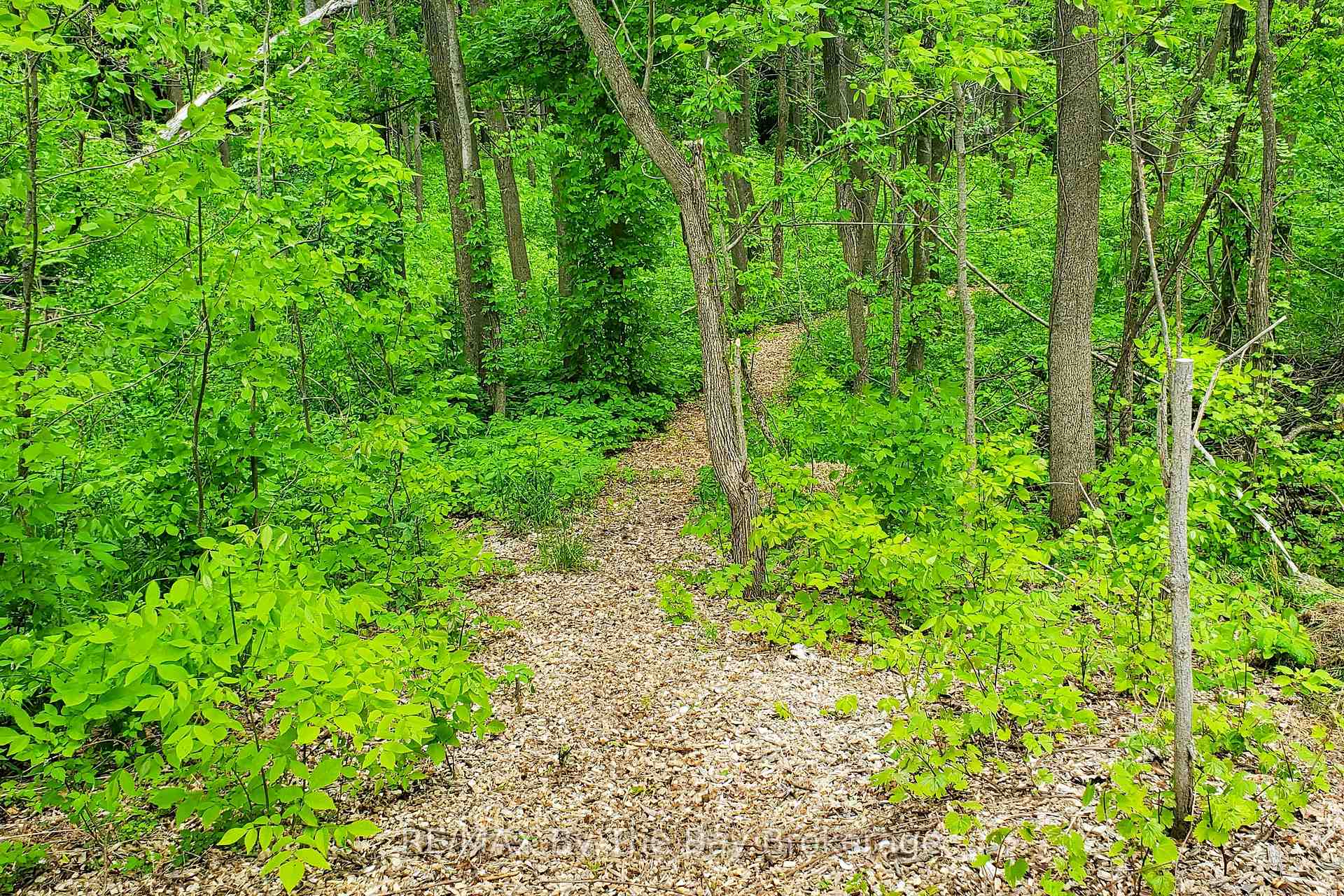 Photo 49 of 9 Purple Hill Lane, Clearview, Rural Clearview — HOMEH