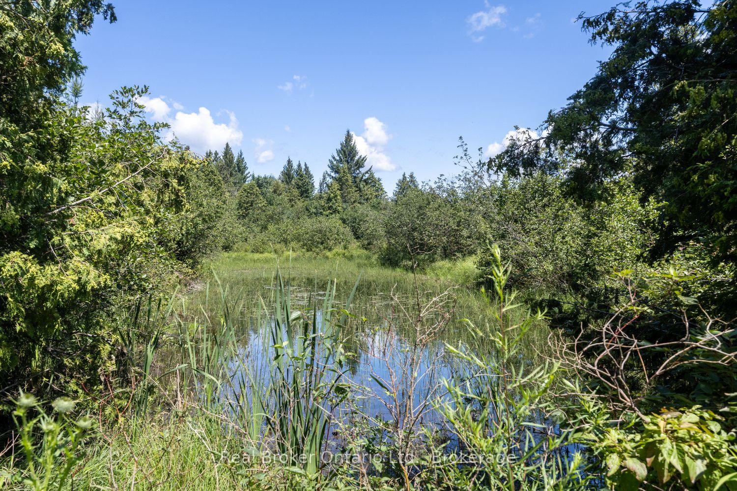 Photo 45 of 982 Porter Road, Kawartha Lakes, Manvers — HOMEH