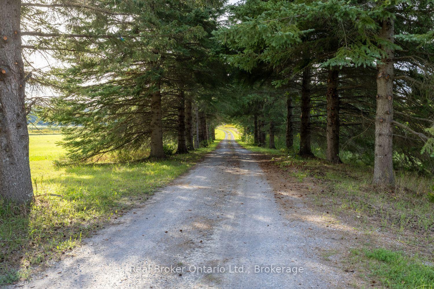 Photo 48 of 982 Porter Road, Kawartha Lakes, Manvers — HOMEH