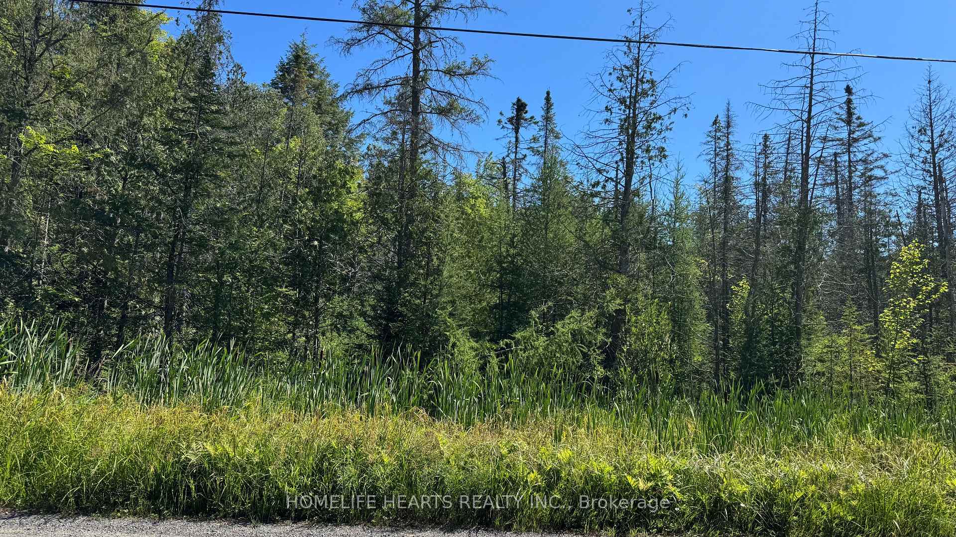 Photo of 2801 Yearley Road