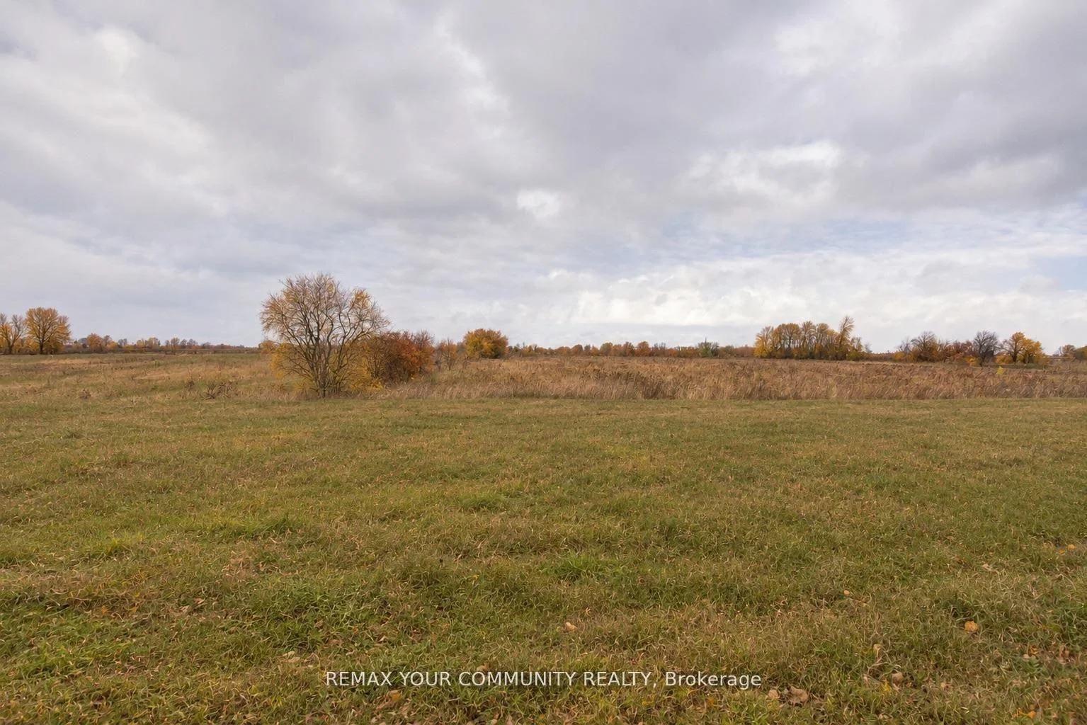 Photo 63 of 16 Don Hadden Crescent, Brock, Sunderland — HOMEH