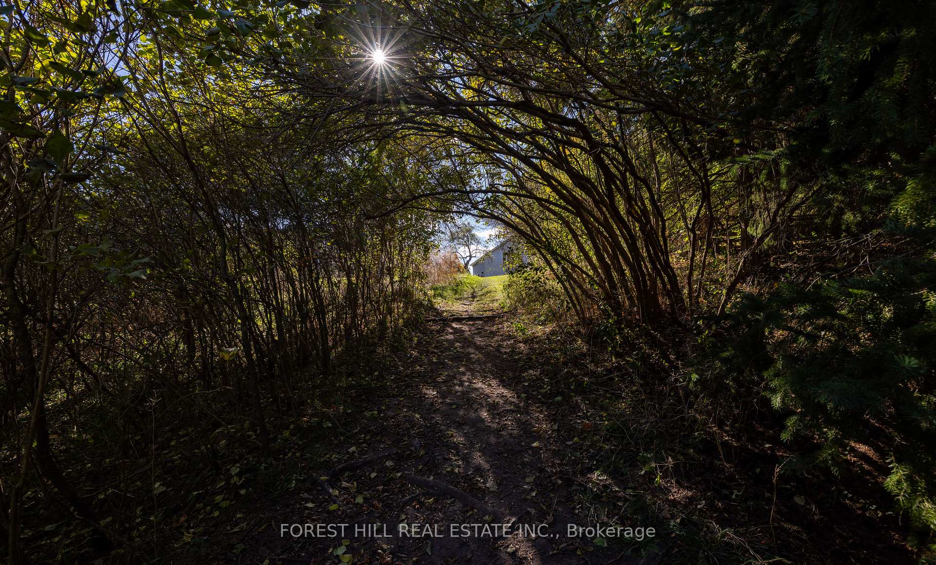 Photo 43 of 794575 Mono Centre Road, Mono, Rural Mono — HOMEH