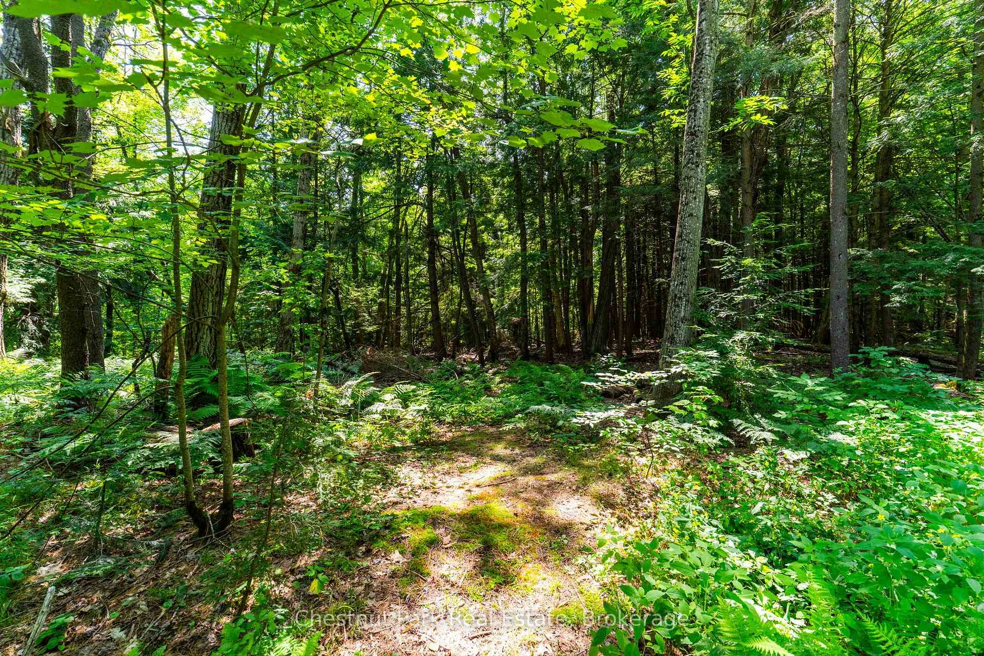Photo 33 of 1130 Taylor Road, Bracebridge, Macaulay — HOMEH