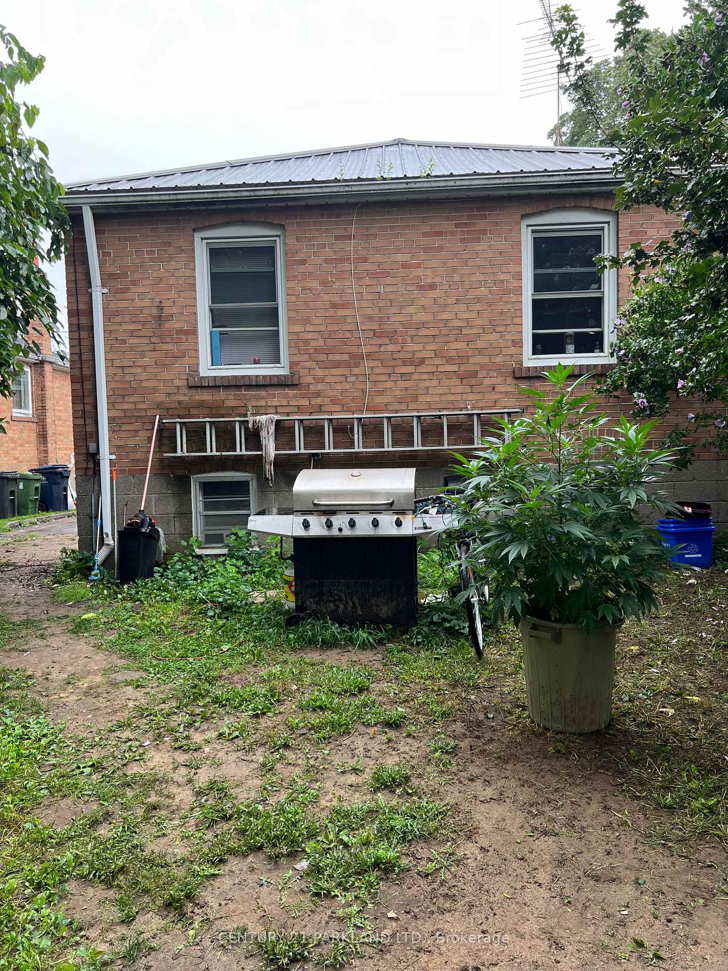 Photo 5 of 125 North Carson Street, Etobicoke, Alderwood — HOMEH
