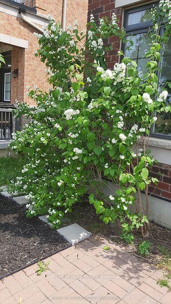 Photo 32 of 25 Sibella Way, Vaughan, Vellore Village — HOMEH