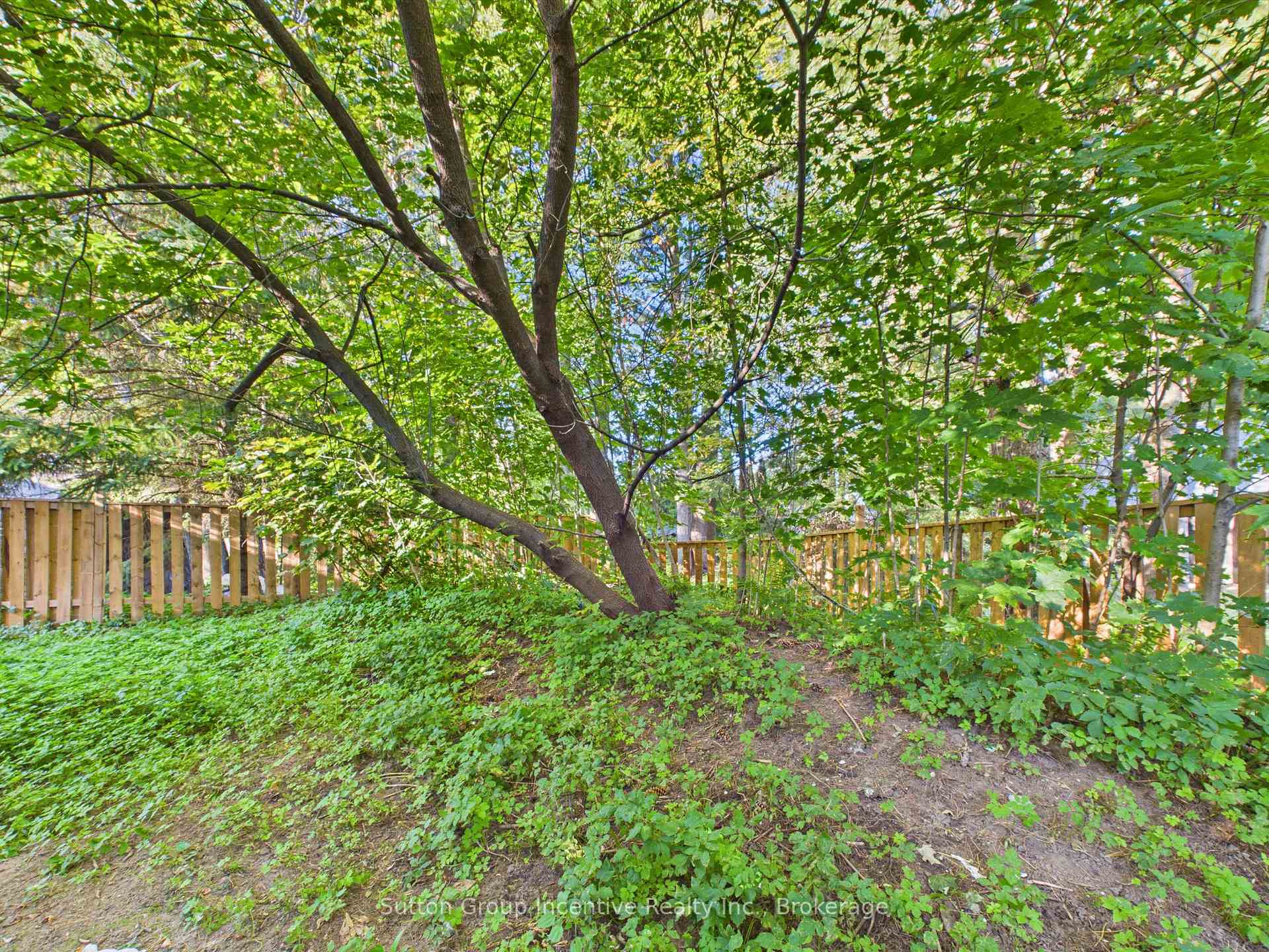 Photo 13 of 57 woodward Street, Bracebridge — HOMEH