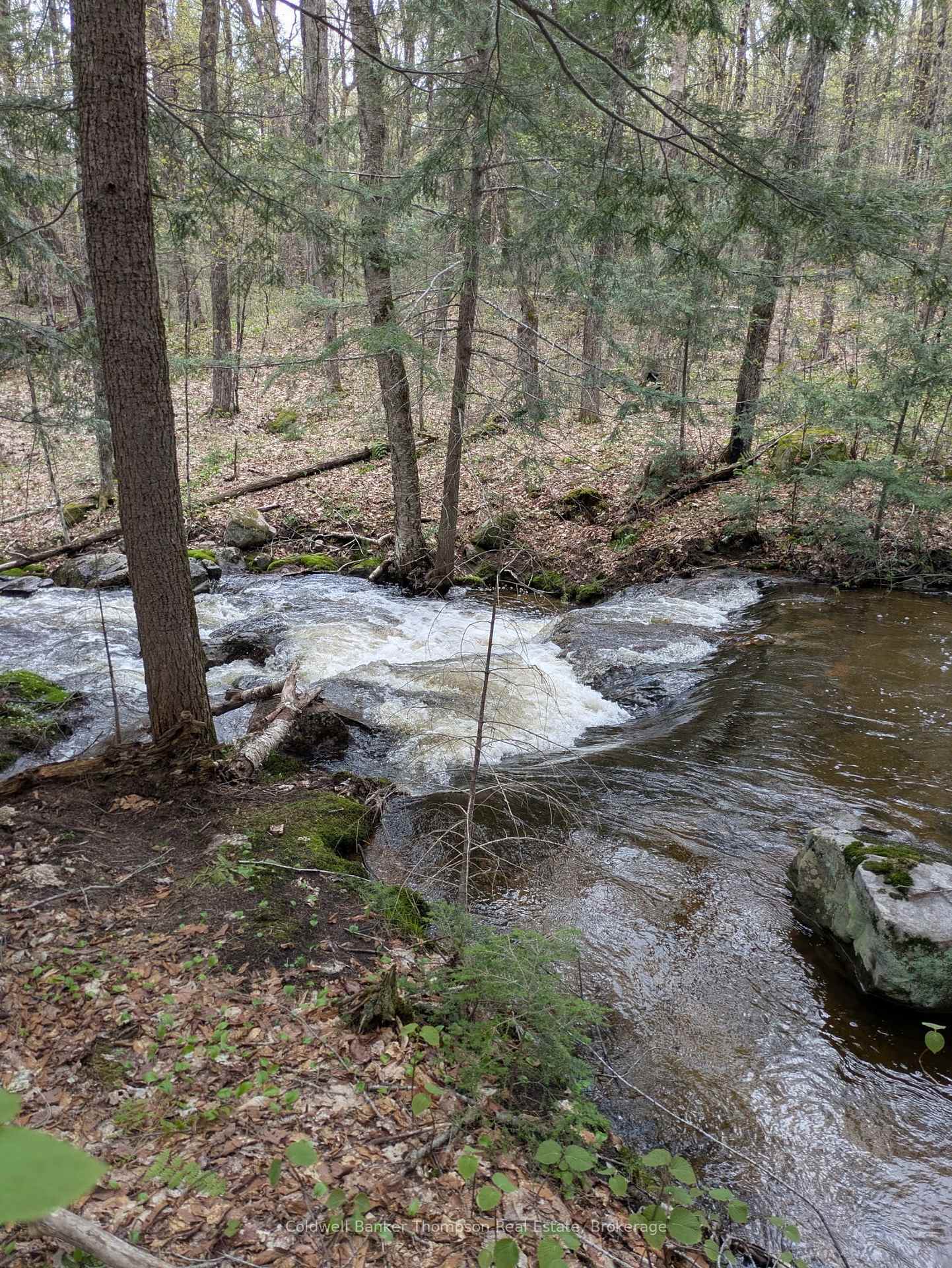 Photo 22 of 2519 South Horn Lake Road, Magnetawan — HOMEH