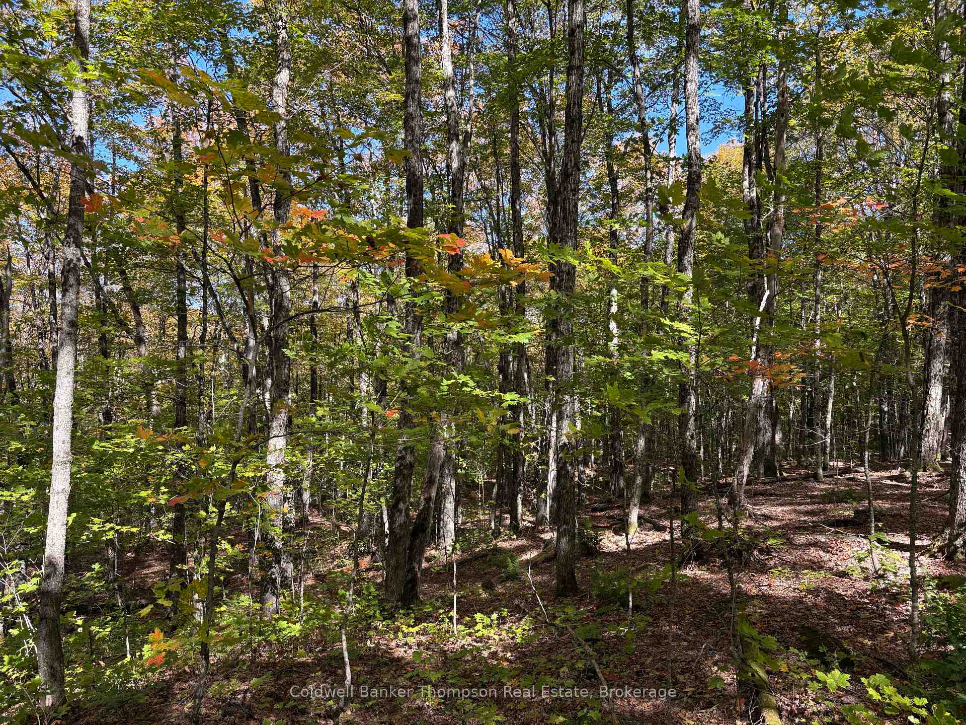 Photo 25 of 2519 South Horn Lake Road, Magnetawan — HOMEH