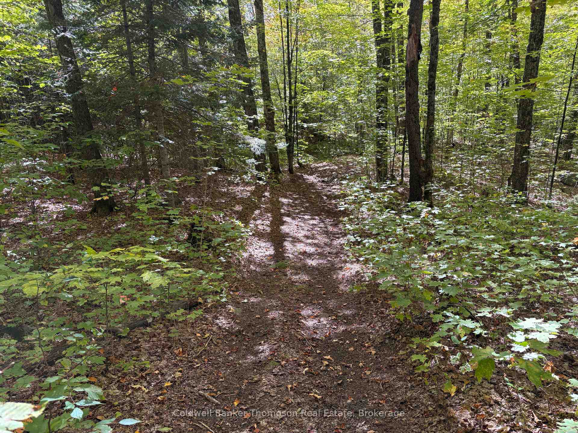 Photo 26 of 2519 South Horn Lake Road, Magnetawan — HOMEH