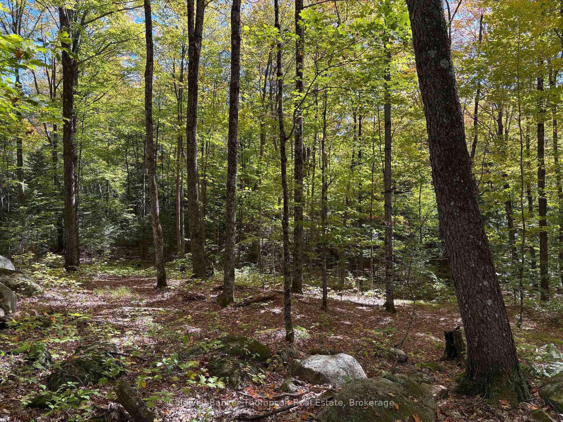 Photo 27 of 2519 South Horn Lake Road, Magnetawan — HOMEH