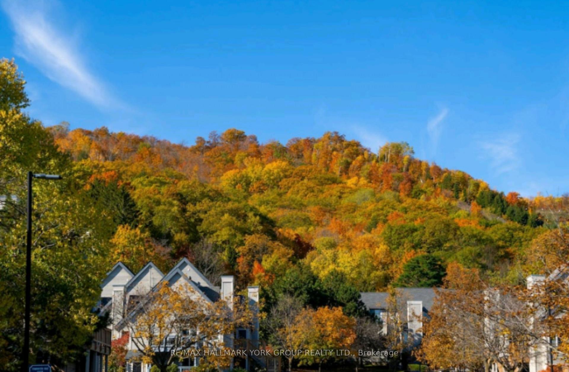 Photo 14 of Unit 514, 796468 19 Grey Road, Blue Mountains — HOMEH