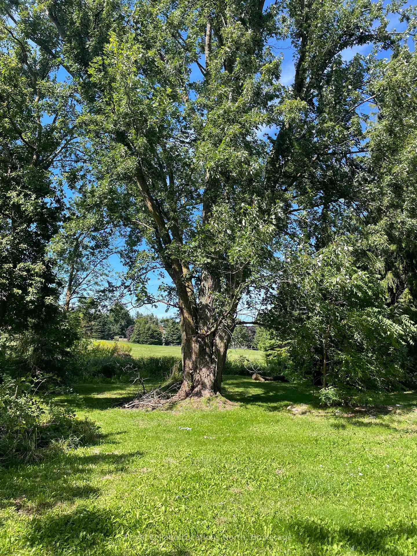 Photo 8 of 9038 County Rd 91, Clearview, Rural Clearview — HOMEH