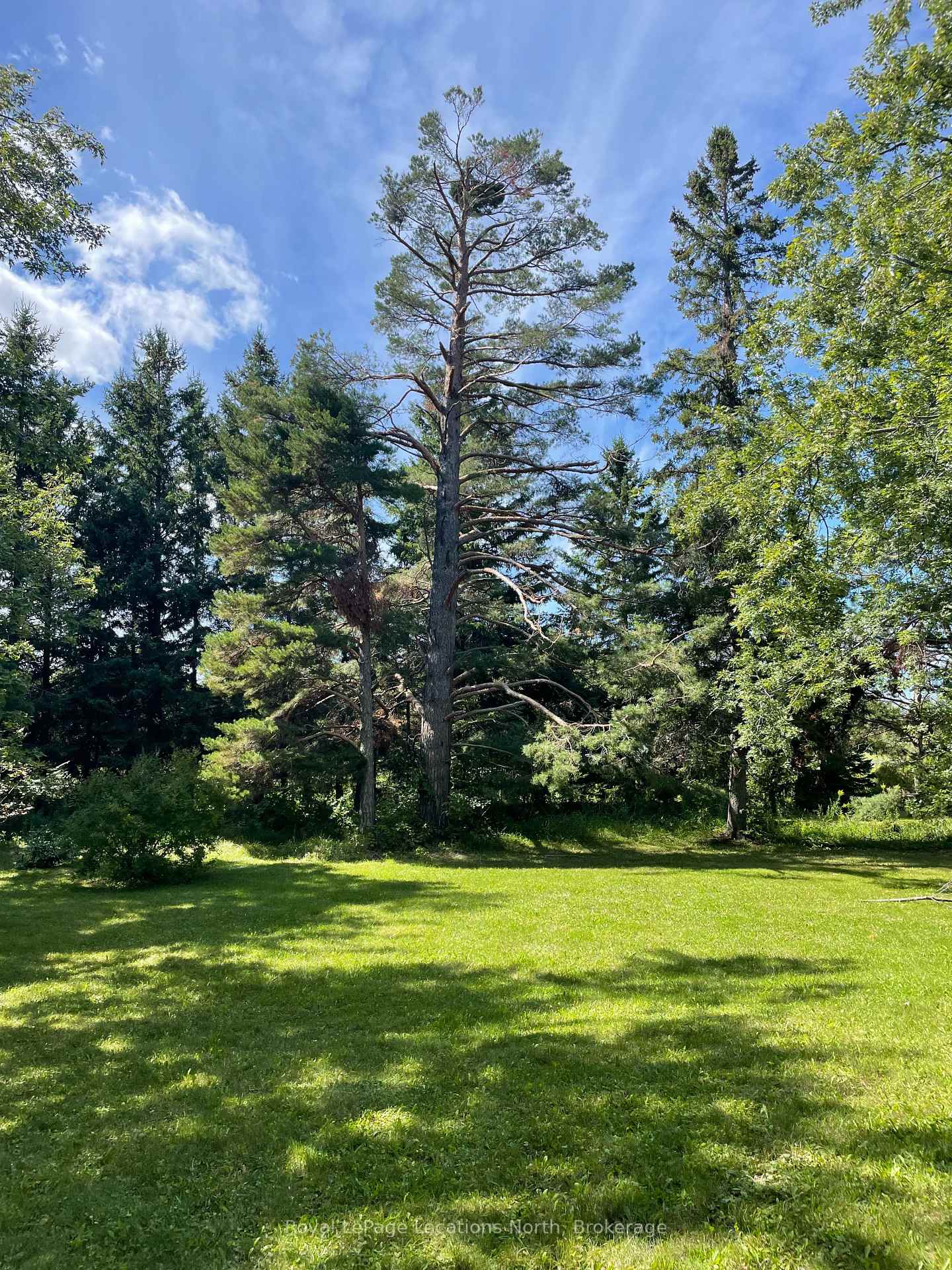 Photo 9 of 9038 County Rd 91, Clearview, Rural Clearview — HOMEH