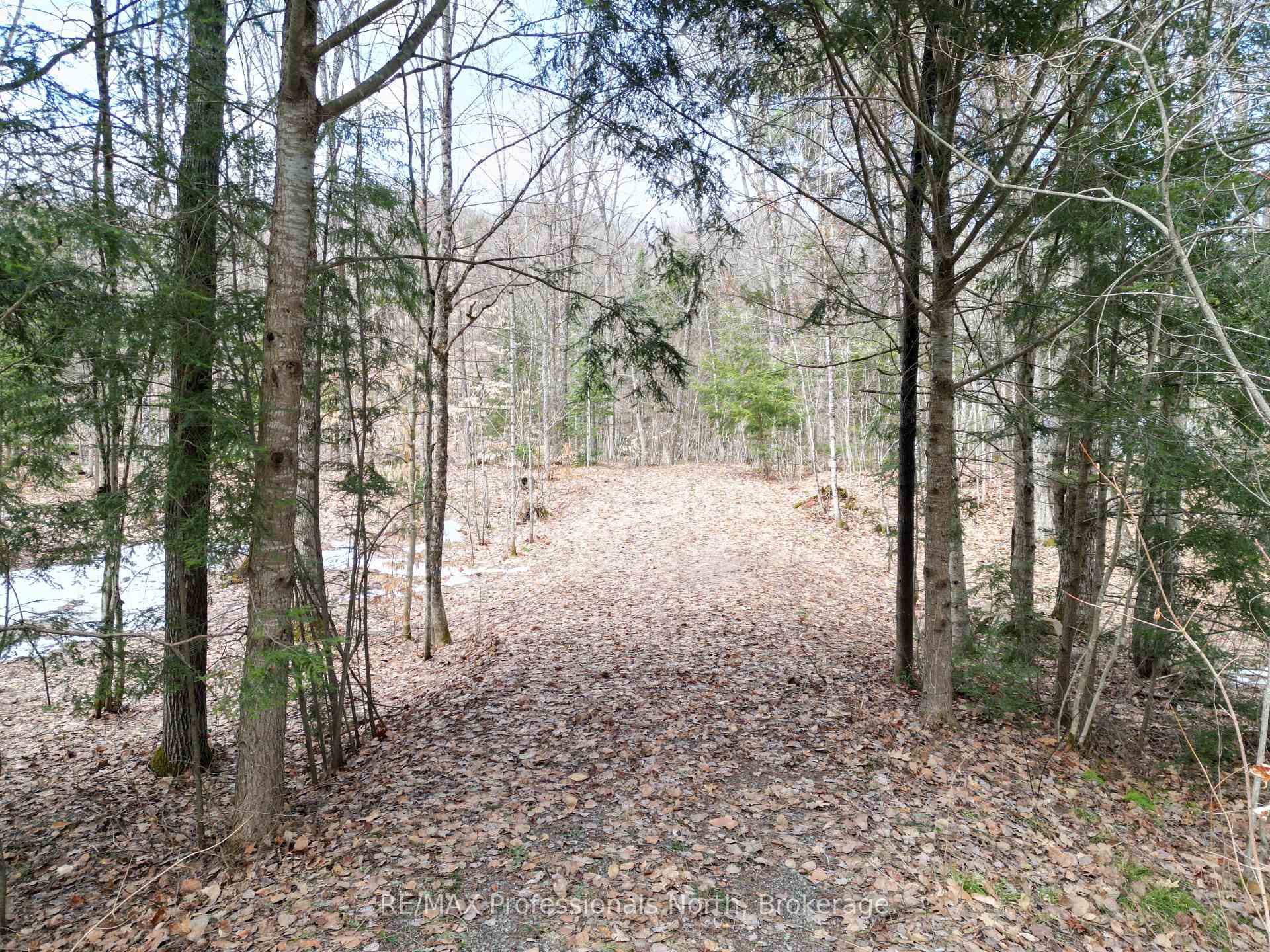 Photo of 1231 Big Hawk Lake Road