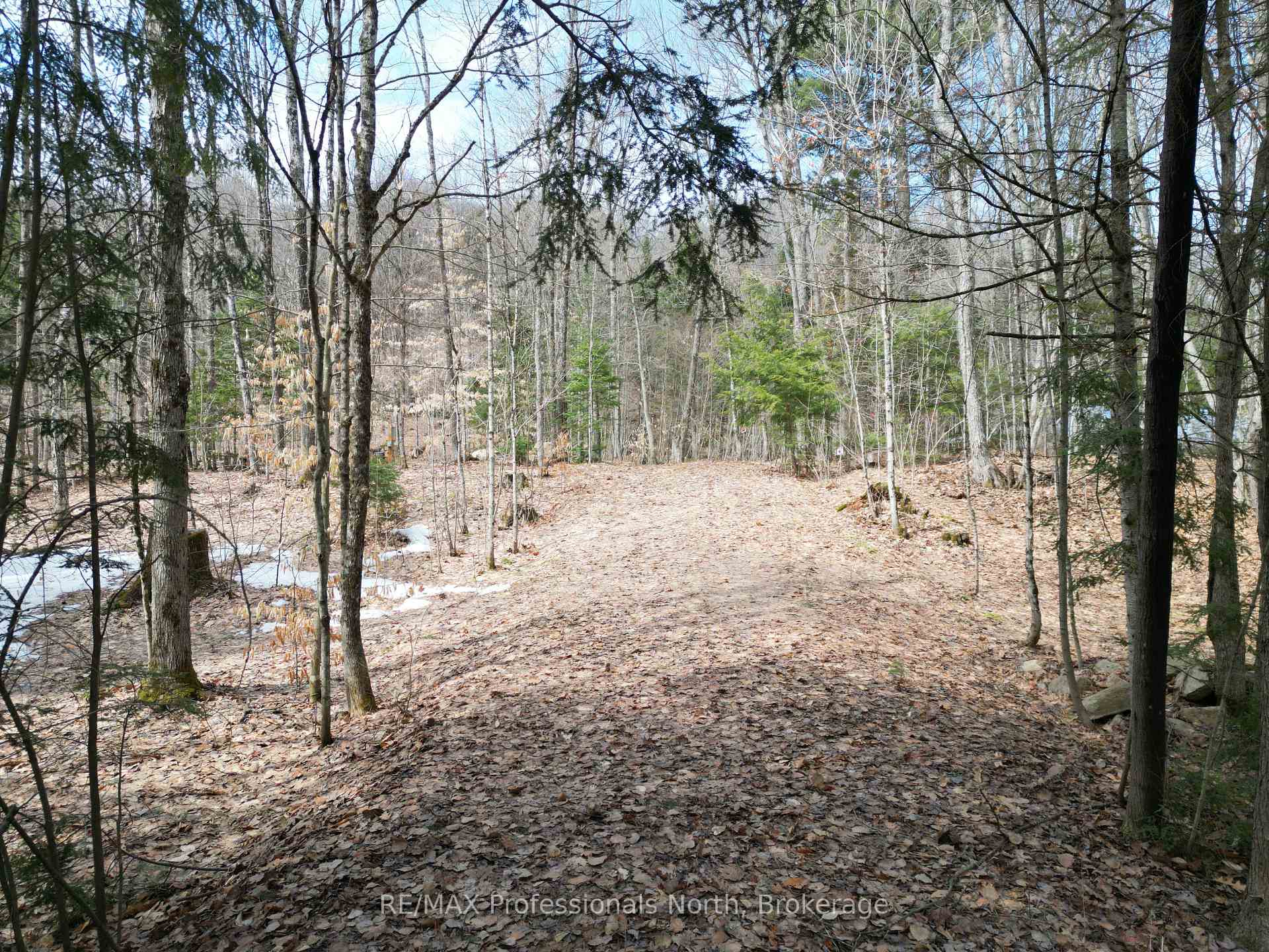 Photo 2 of 1231 Big Hawk Lake Road, Algonquin Highlands, Stanhope — HOMEH