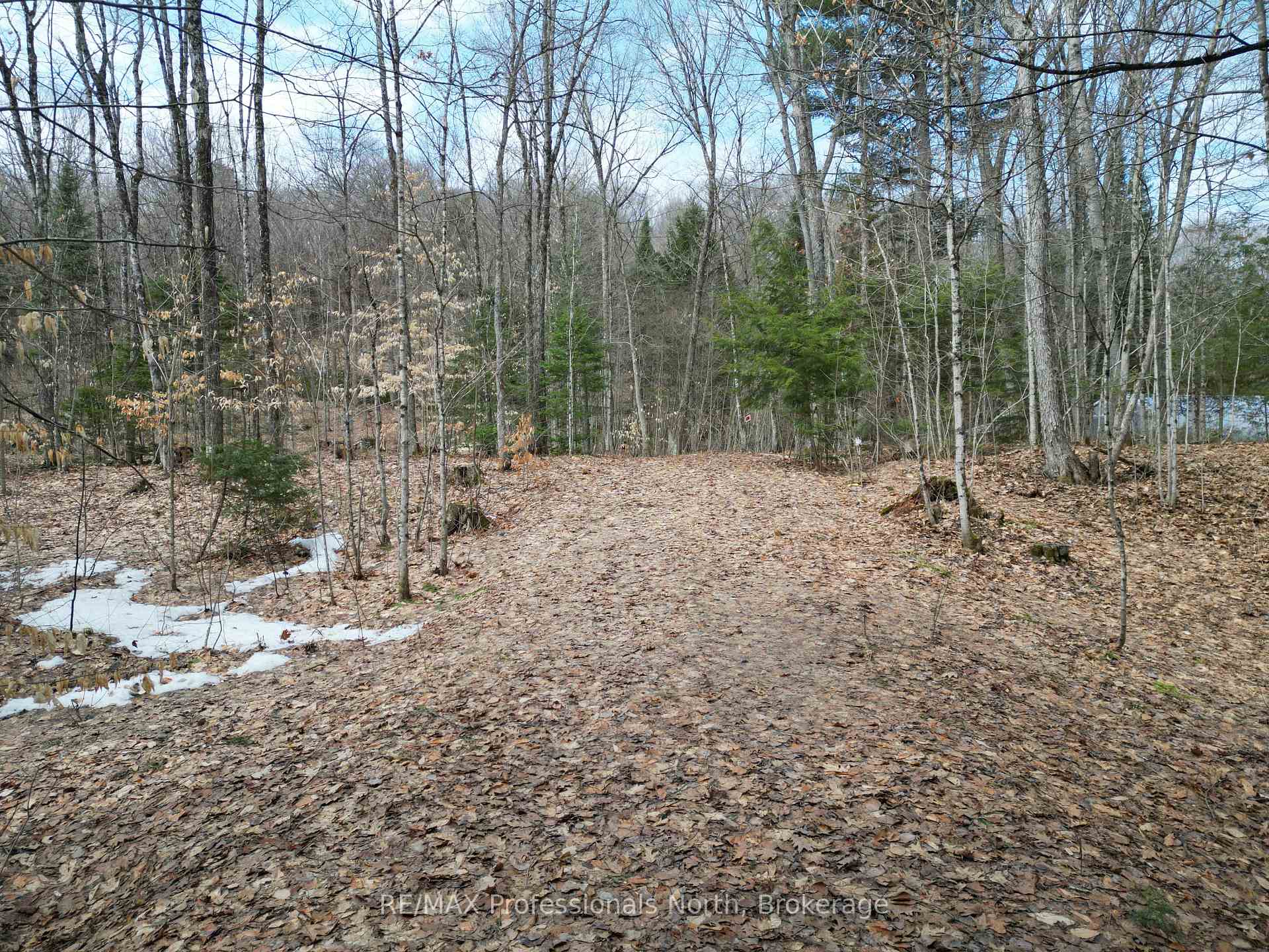 Photo 3 of 1231 Big Hawk Lake Road, Algonquin Highlands, Stanhope — HOMEH